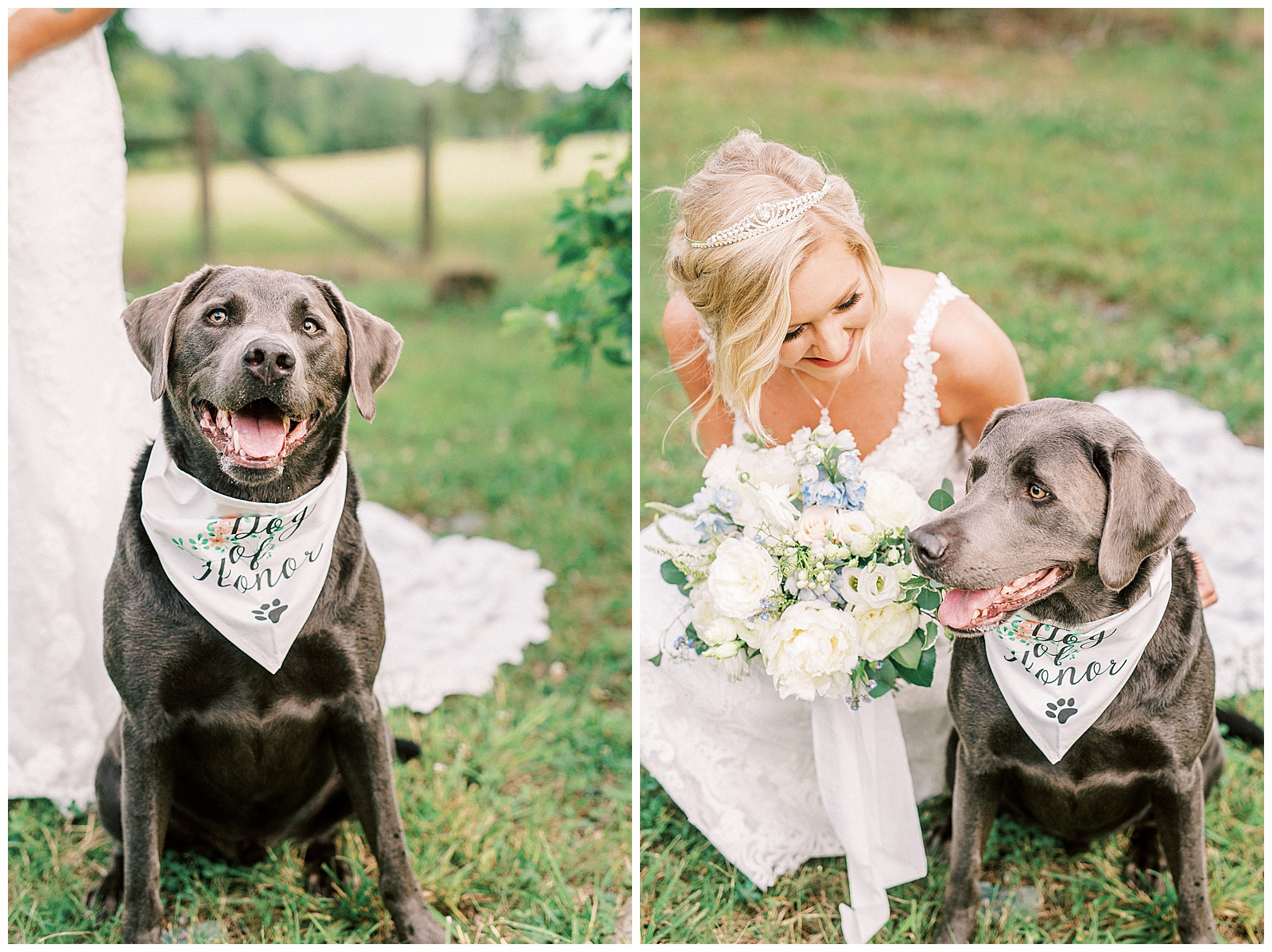 chocolate lab dog with bride during summer outdoor forest bridal session