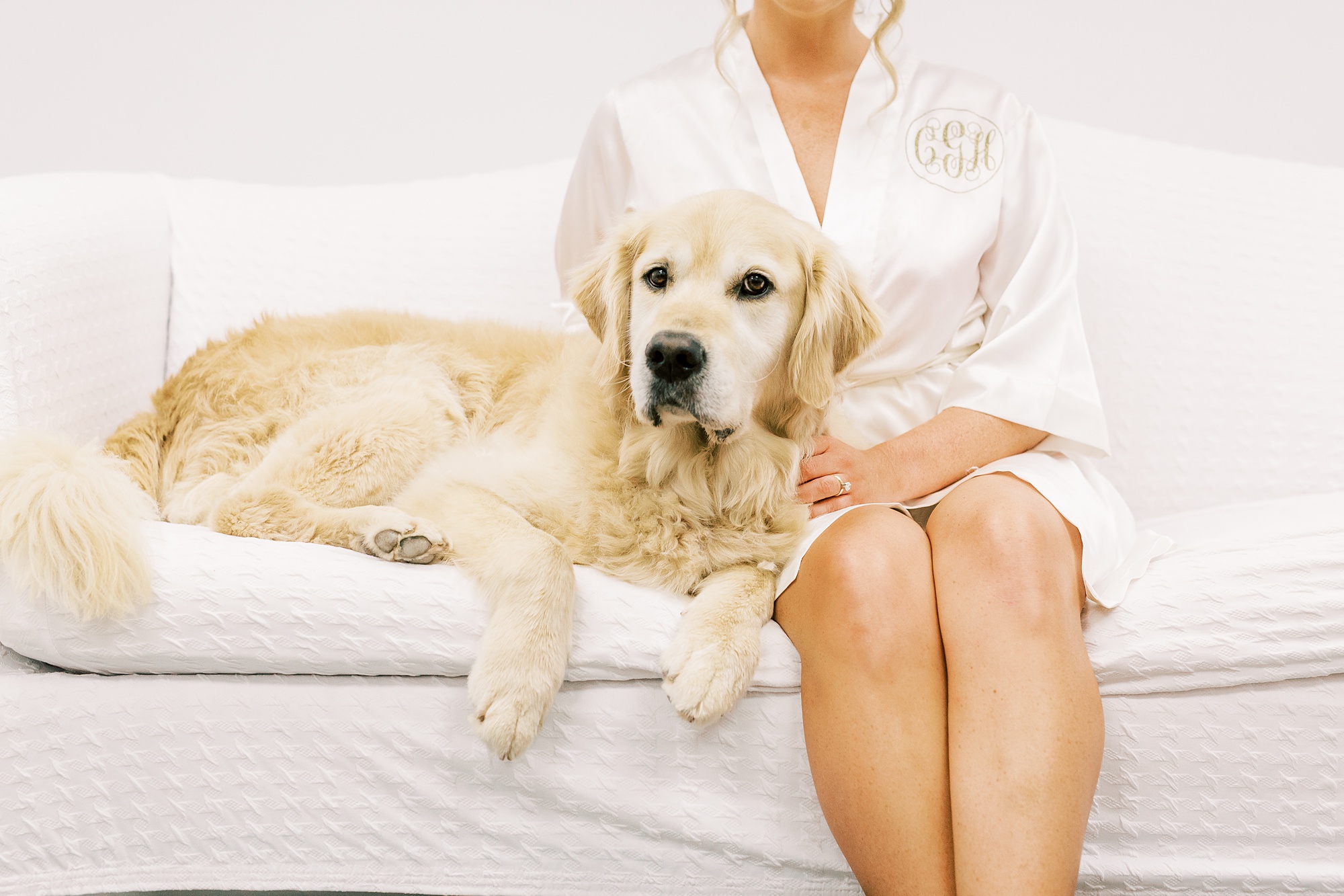 dog sits with bride in white robe
