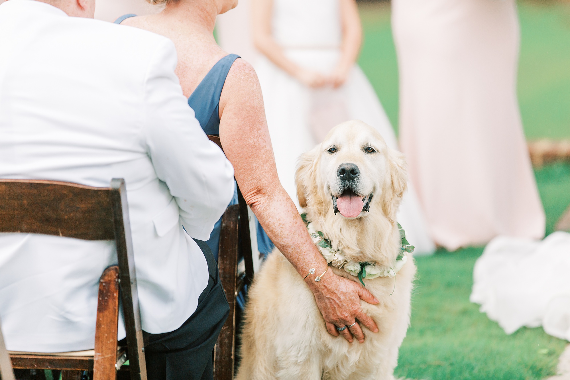 dog sits watching bride and groom walk down aisle