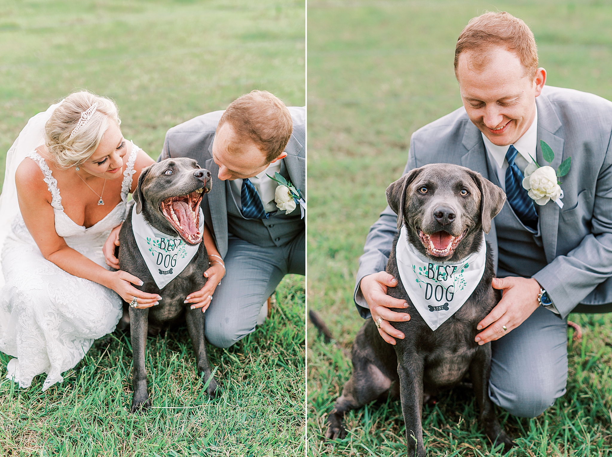 newlyweds pose with dog at The Farm at Brusharbor