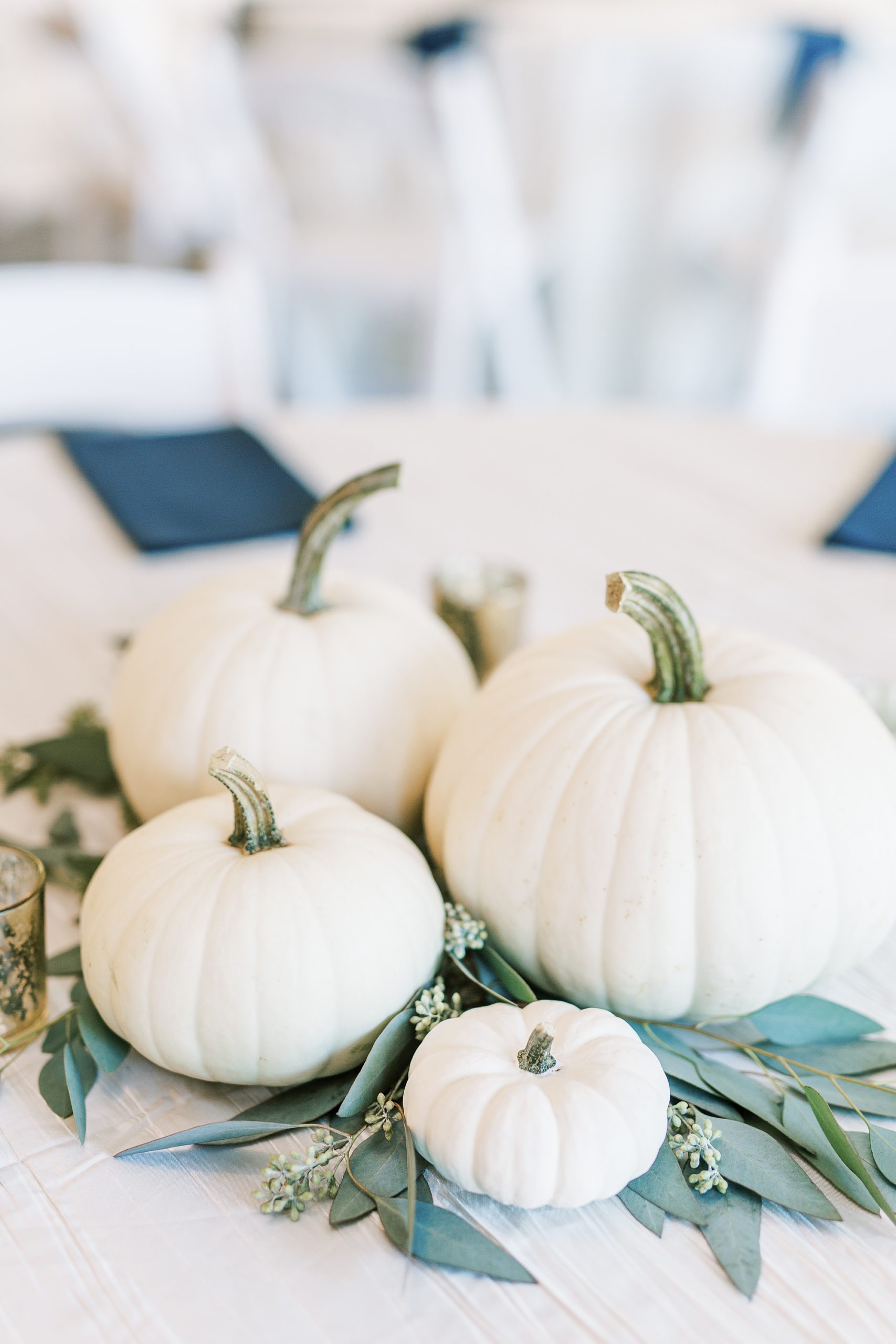 pumpkins for reception decor at the Arbors Events