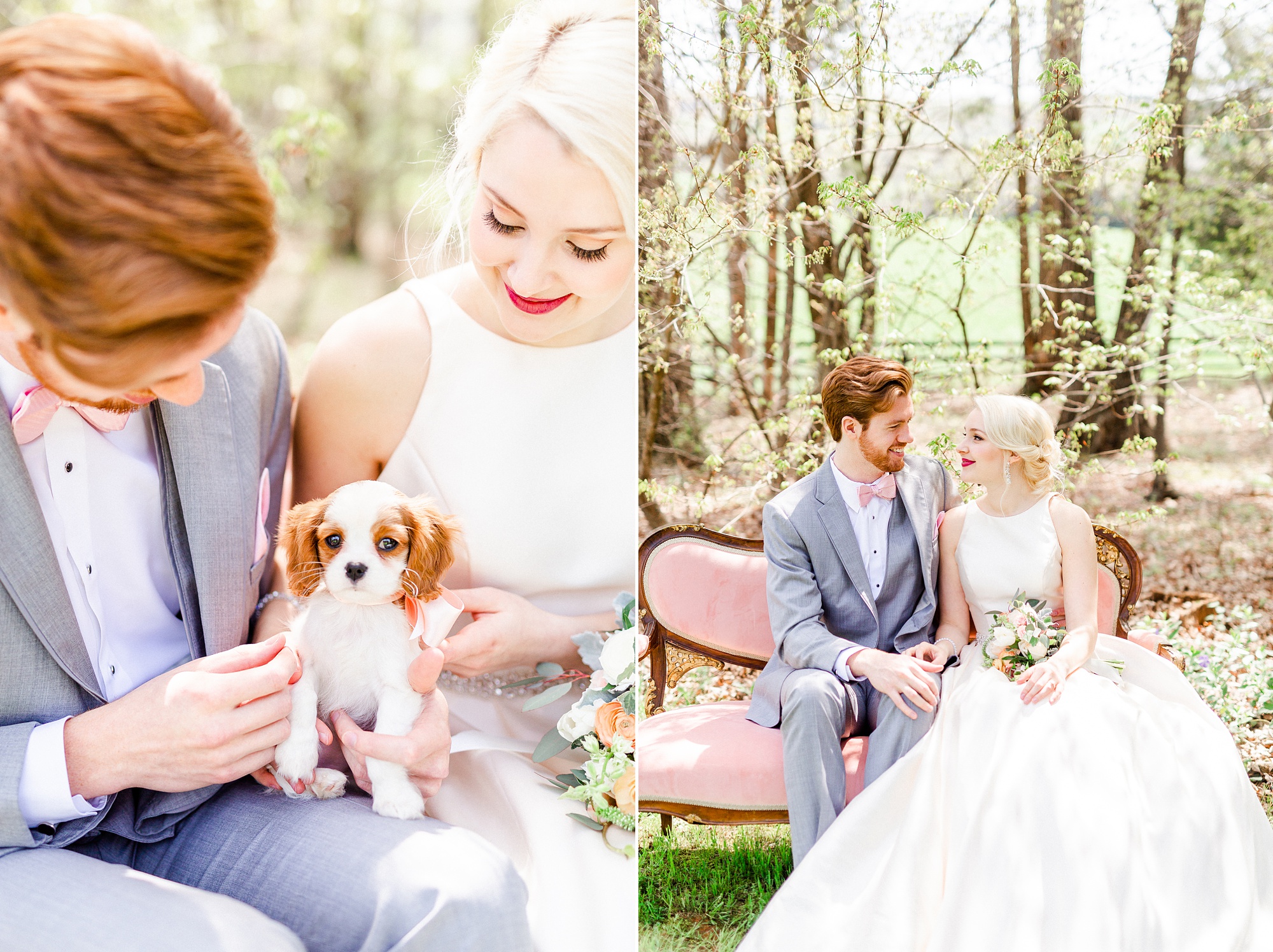spring time wedding portraits of bride and groom with puppy dog