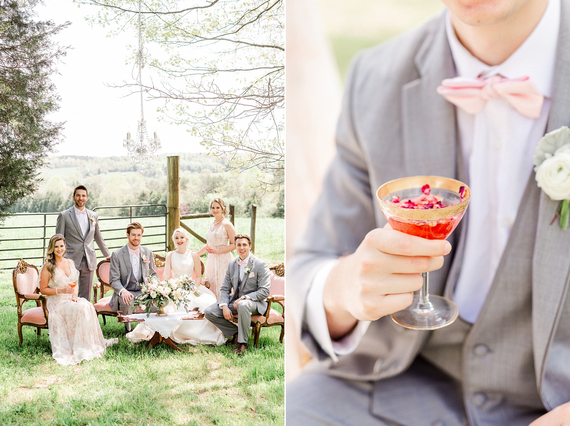 newlyweds toast with bridal party in field at Carolina Country Weddings