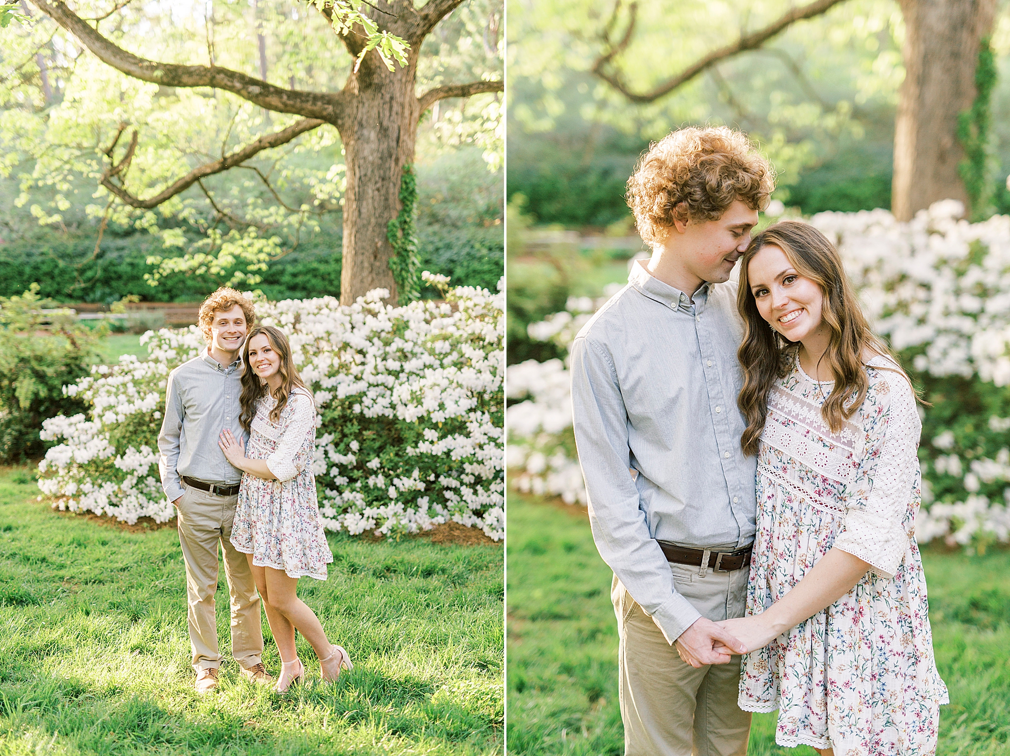 engagement portraits for couple in front of white bush in Glencairn Gardens