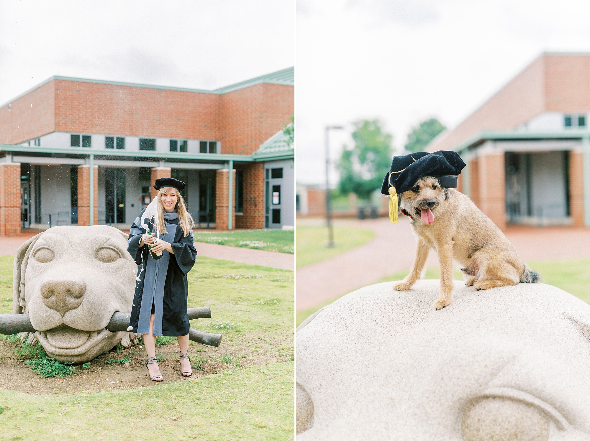 college senior pops champagne outside NC State Vet School