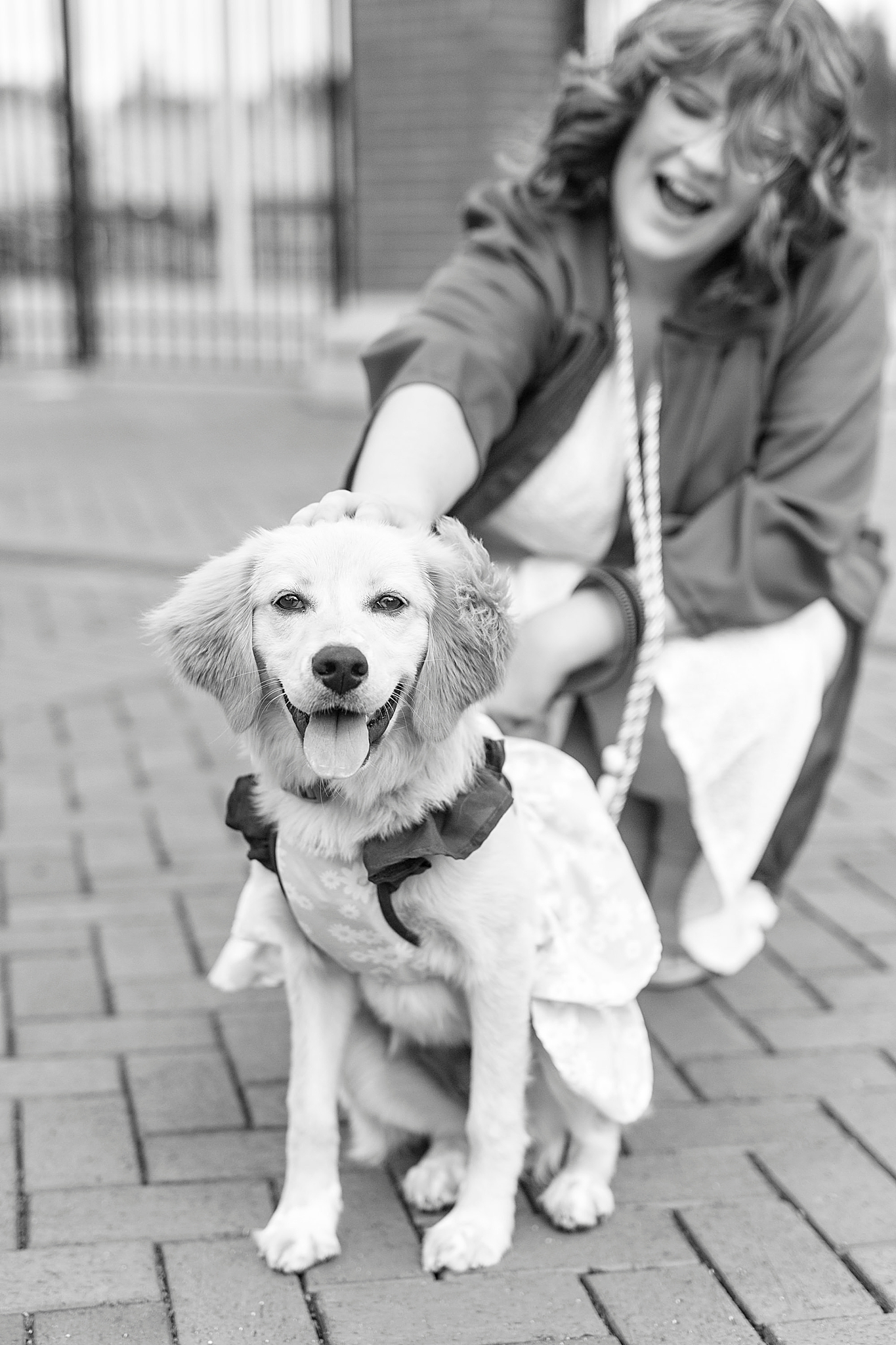 graduate poses with dog during UNCC senior pictures