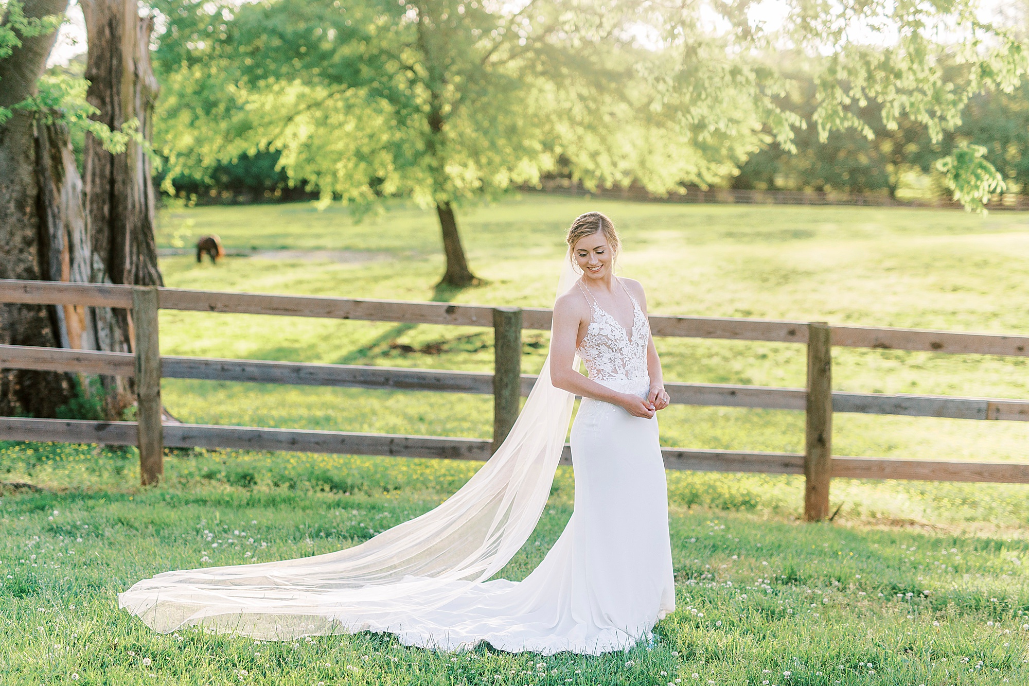 bride walks with veil behind her at Tanglewood Park