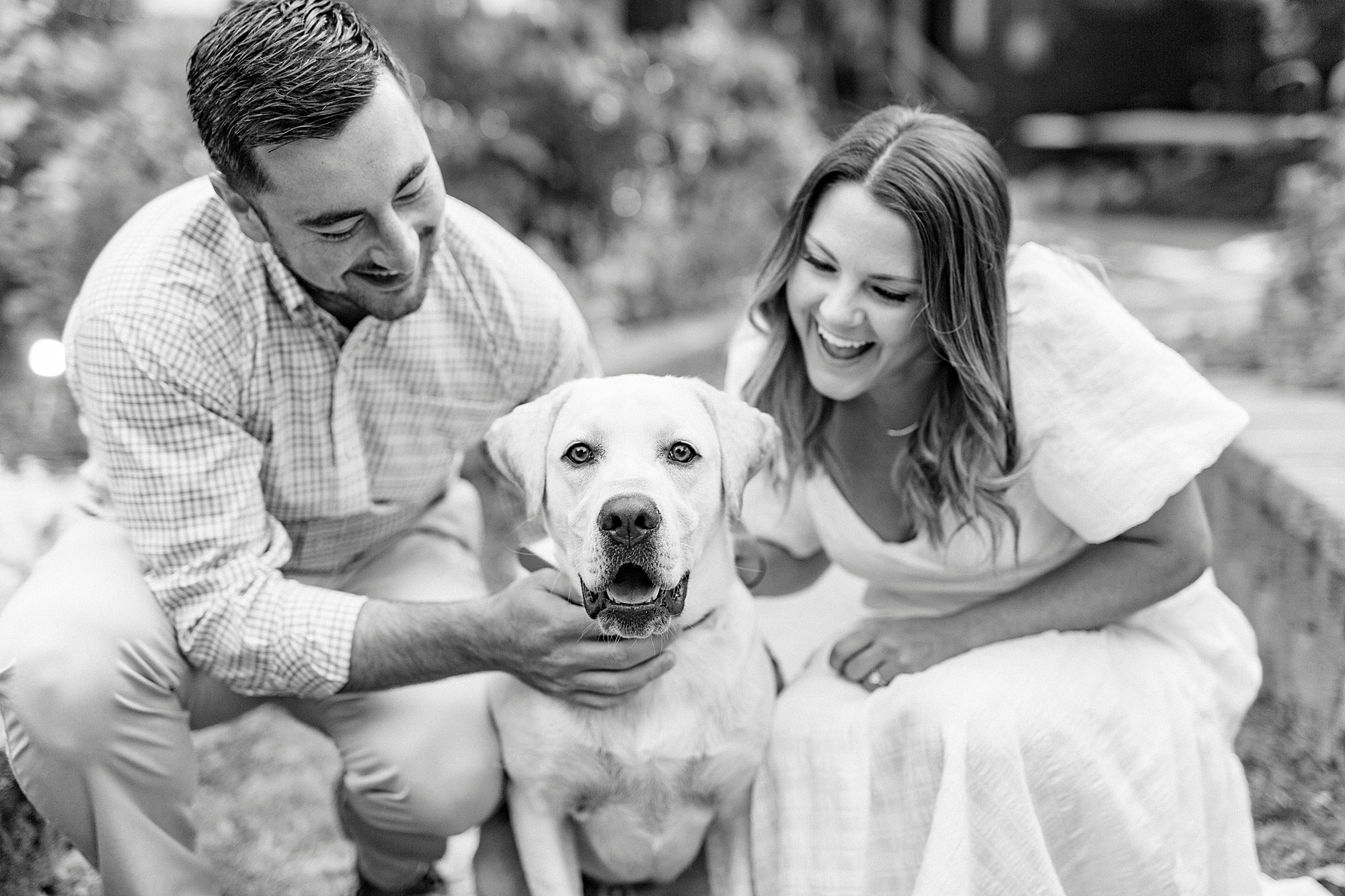 engaged couple looks at puppy dog during McGill Rose Garden engagement session