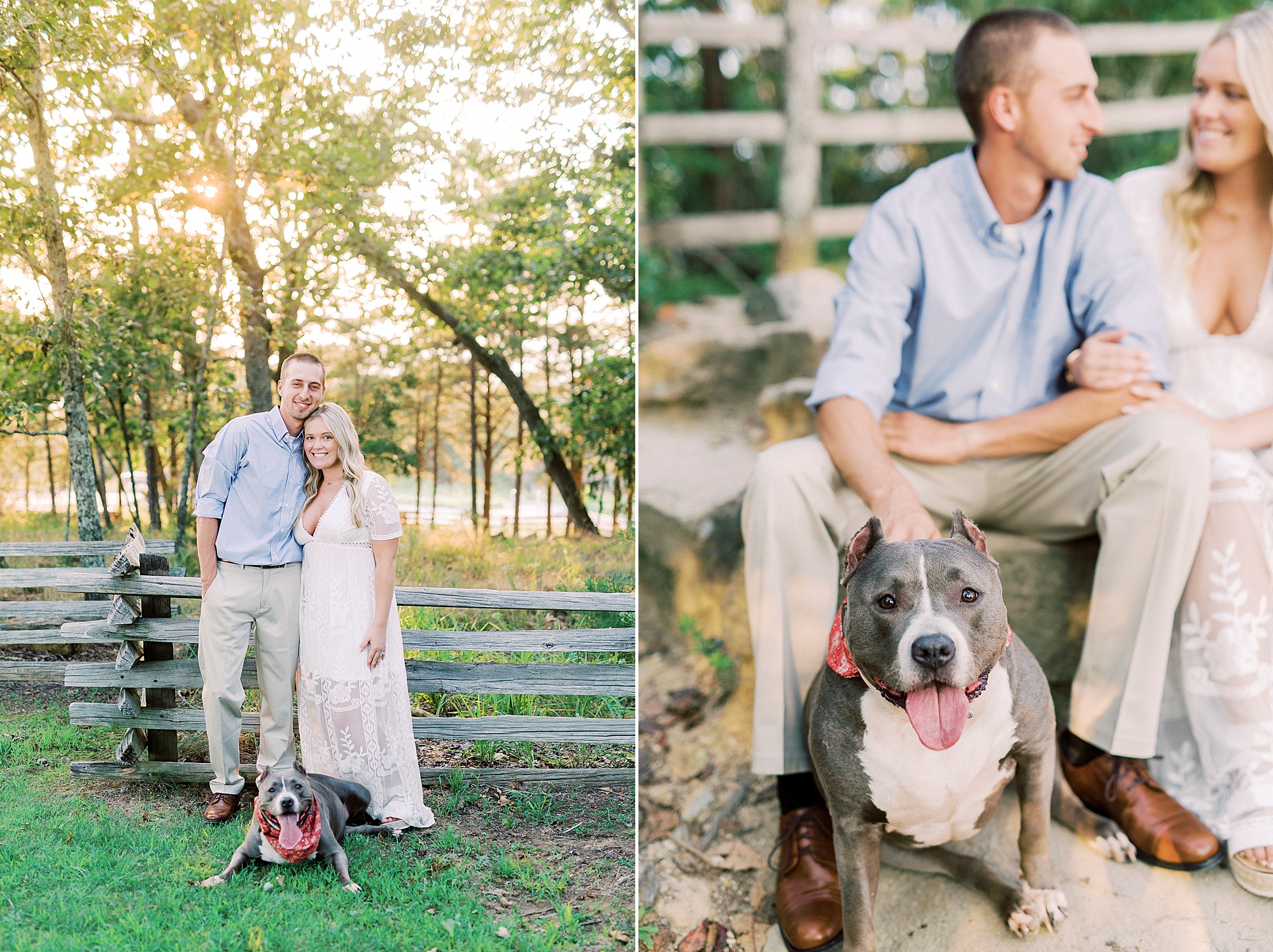 engaged couple sits with dog during fall Mount Airy engagement session