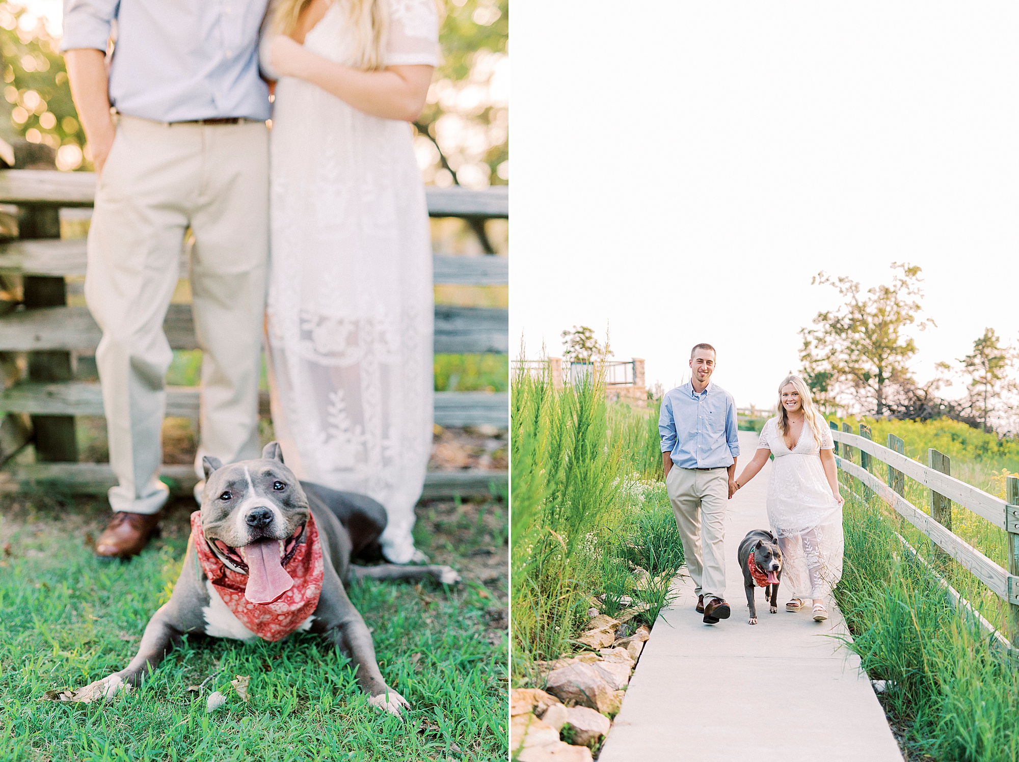 engaged couple walks with dog along Pilot Mountain path