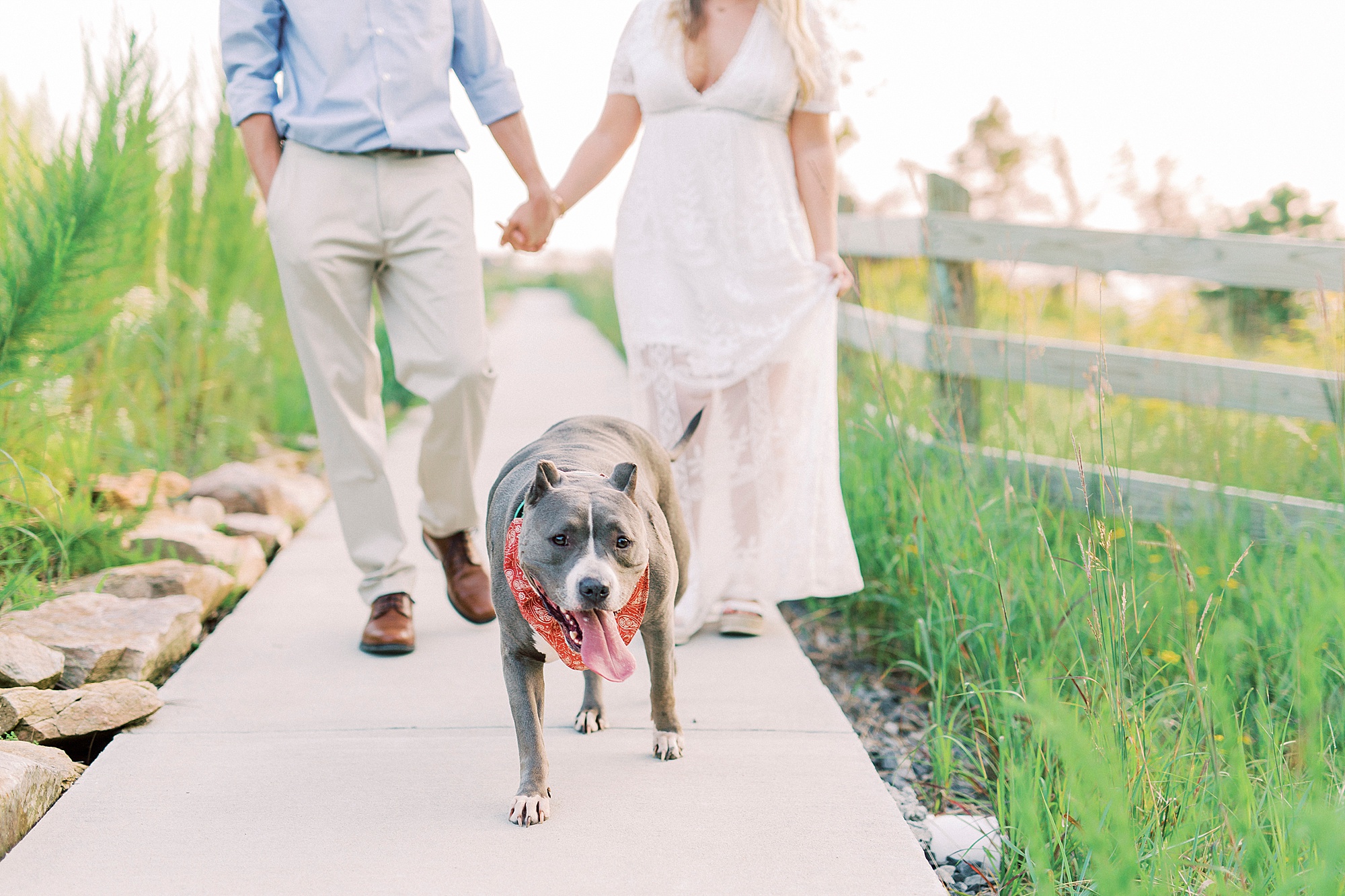 couple holds hands walking with dog