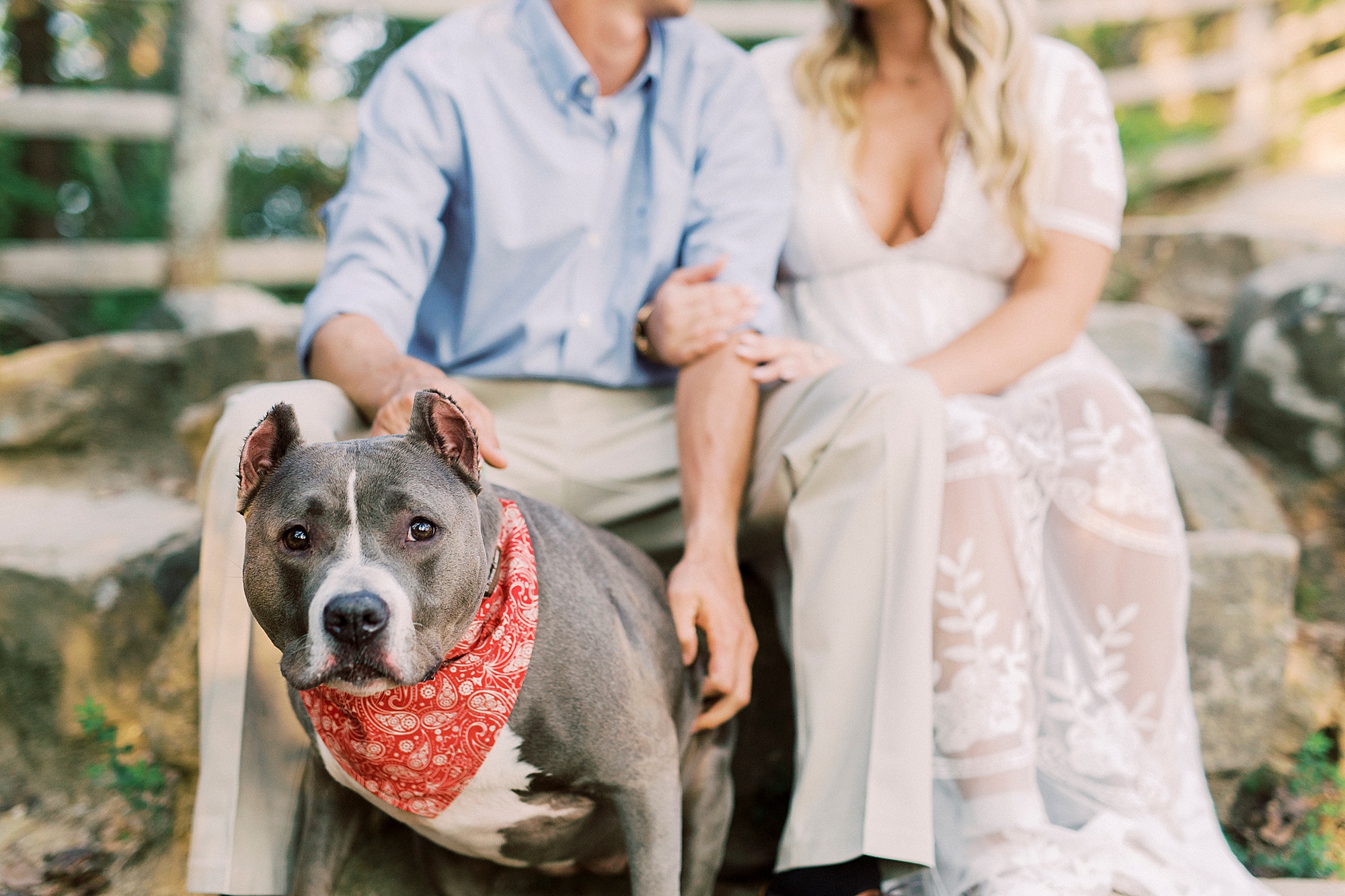 couple sits with dog on Pilot Mountain