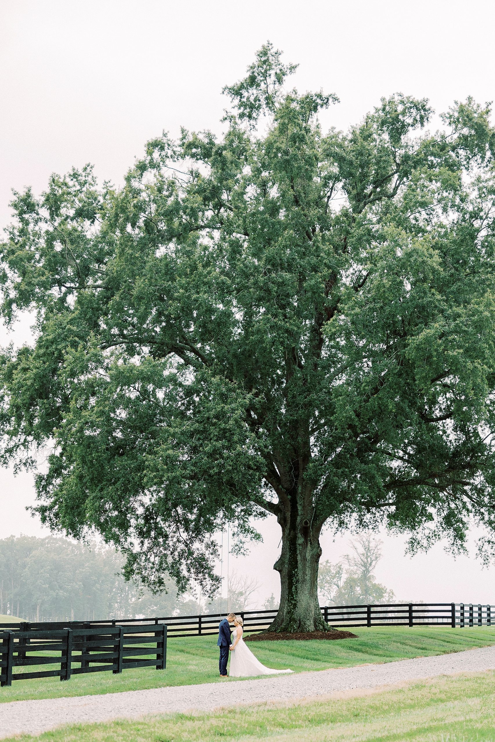 bride and groom pose under tree at Addison Farm