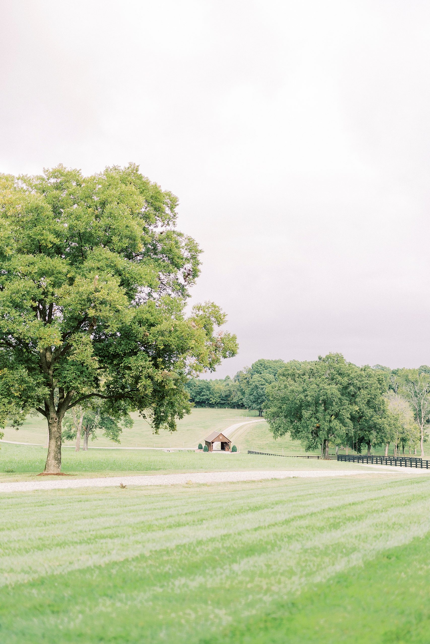 outdoor ceremony on farm in Greensboro NC
