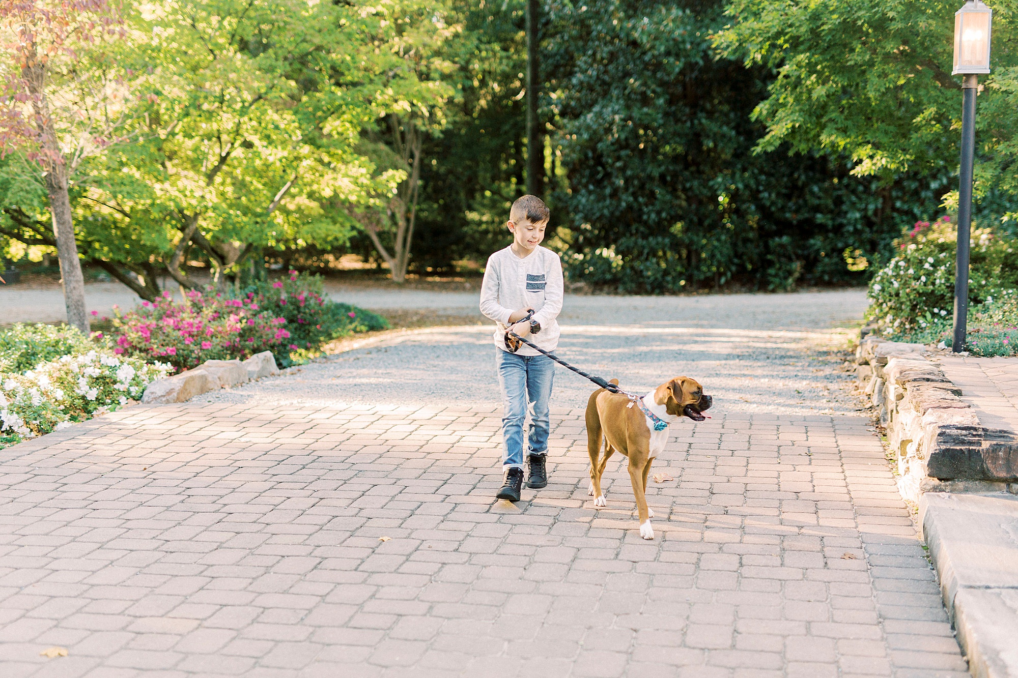 boy and dog walk through patio at Ritchie Hill