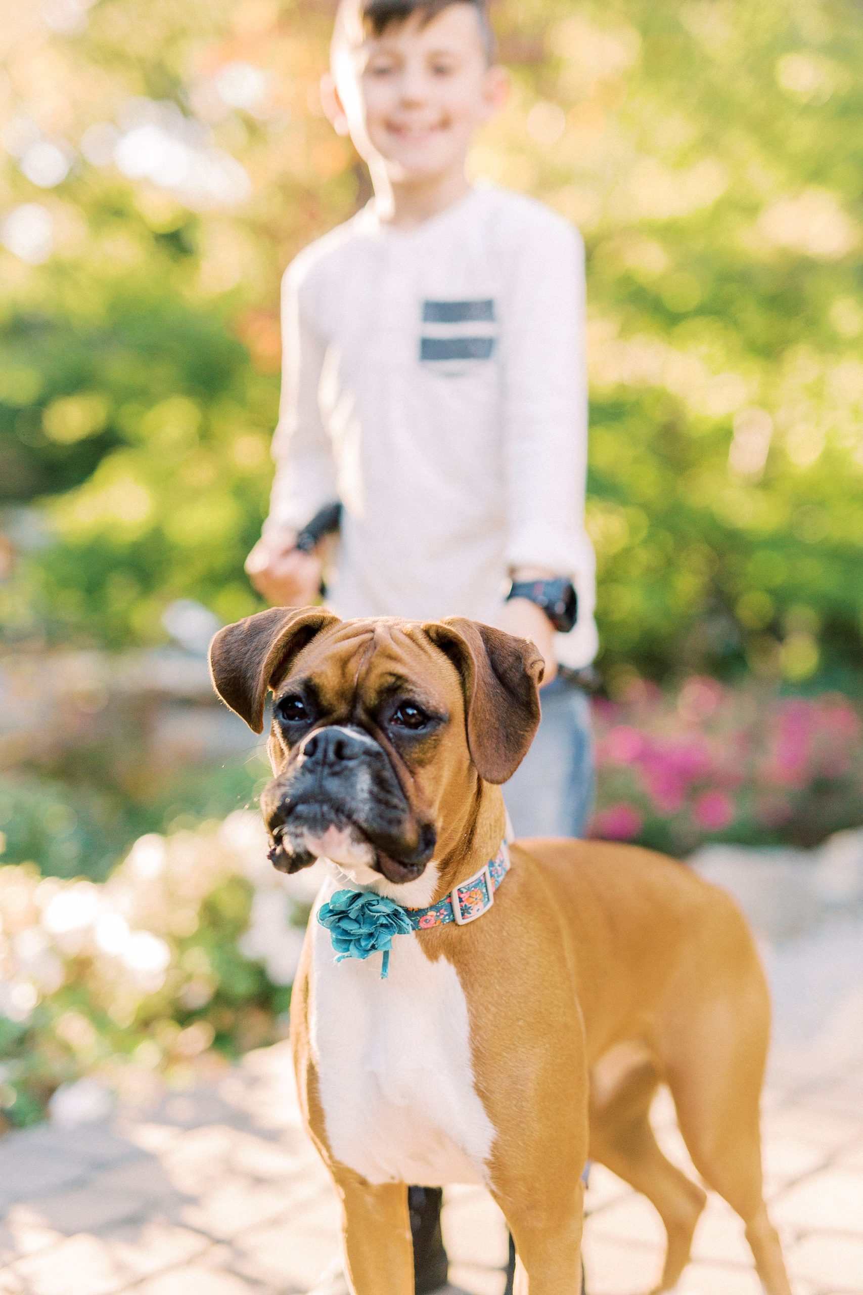 boy holds leash for dog during family photos at Ritchie Hill