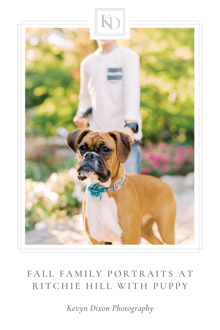 Ritchie Hill family portraits in the fall for family of three and their puppy photographed by NC family photographer Kevyn Dixon Photography