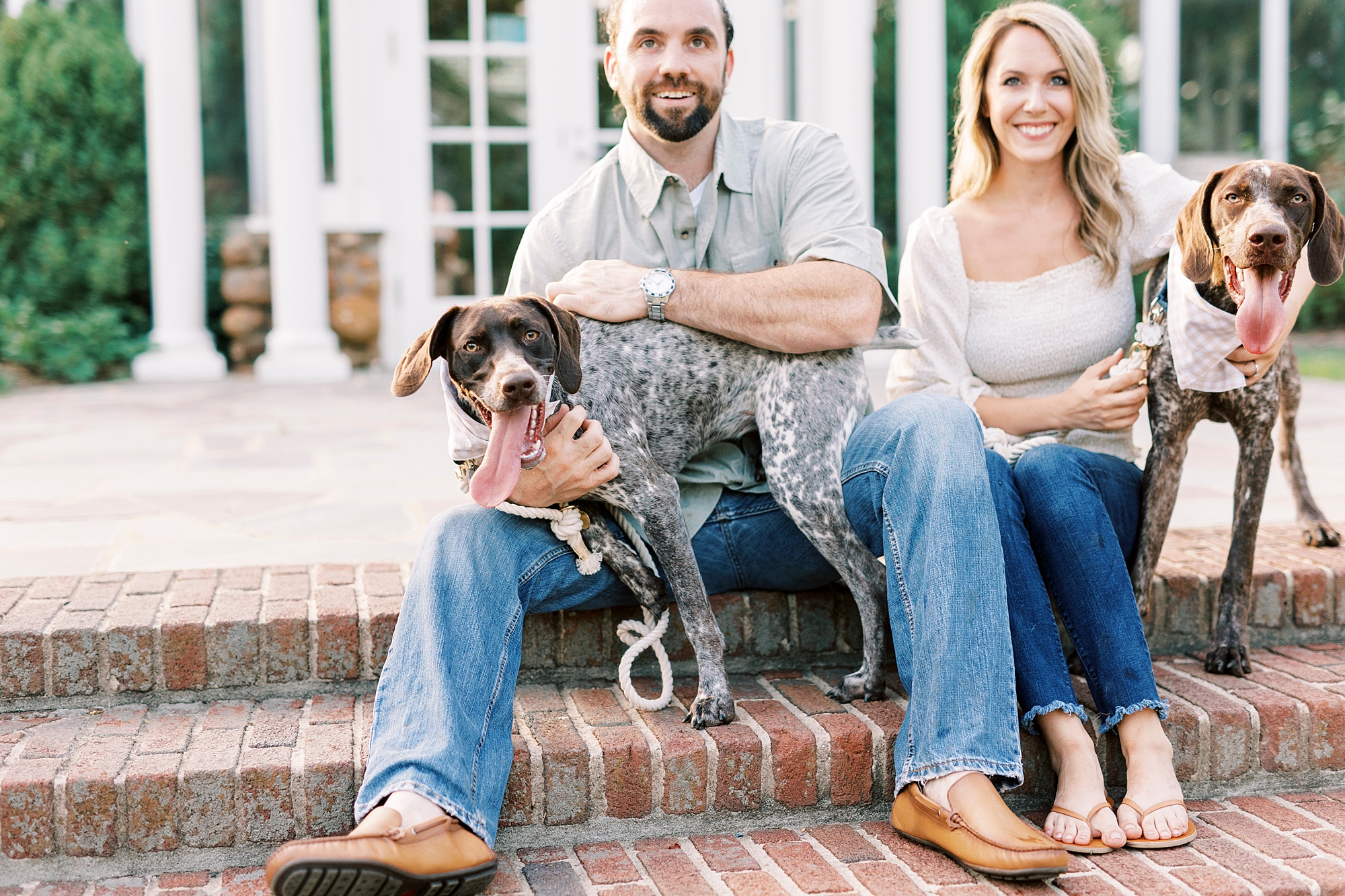 couple pets GSP dog during Reynolda Gardens engagement photos