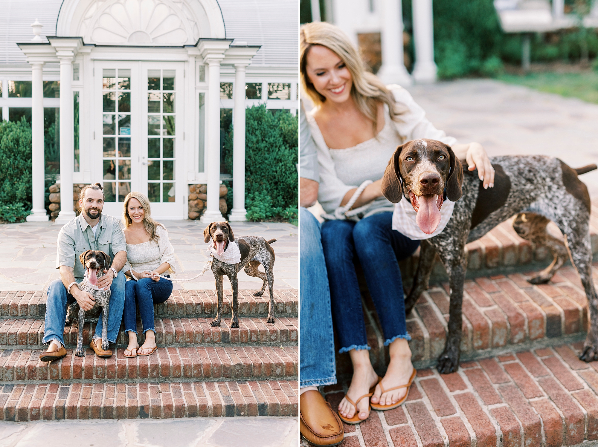 engaged couple sits on brick steps with GSP pups during Reynolda Gardens engagement session