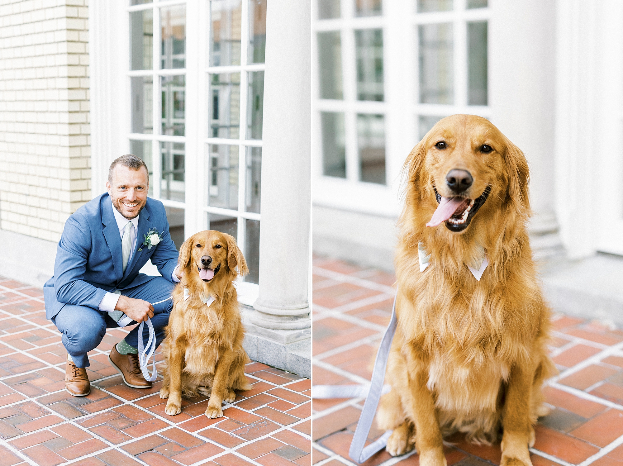 groom and golden retriever sit together before Separk Mansion wedding day