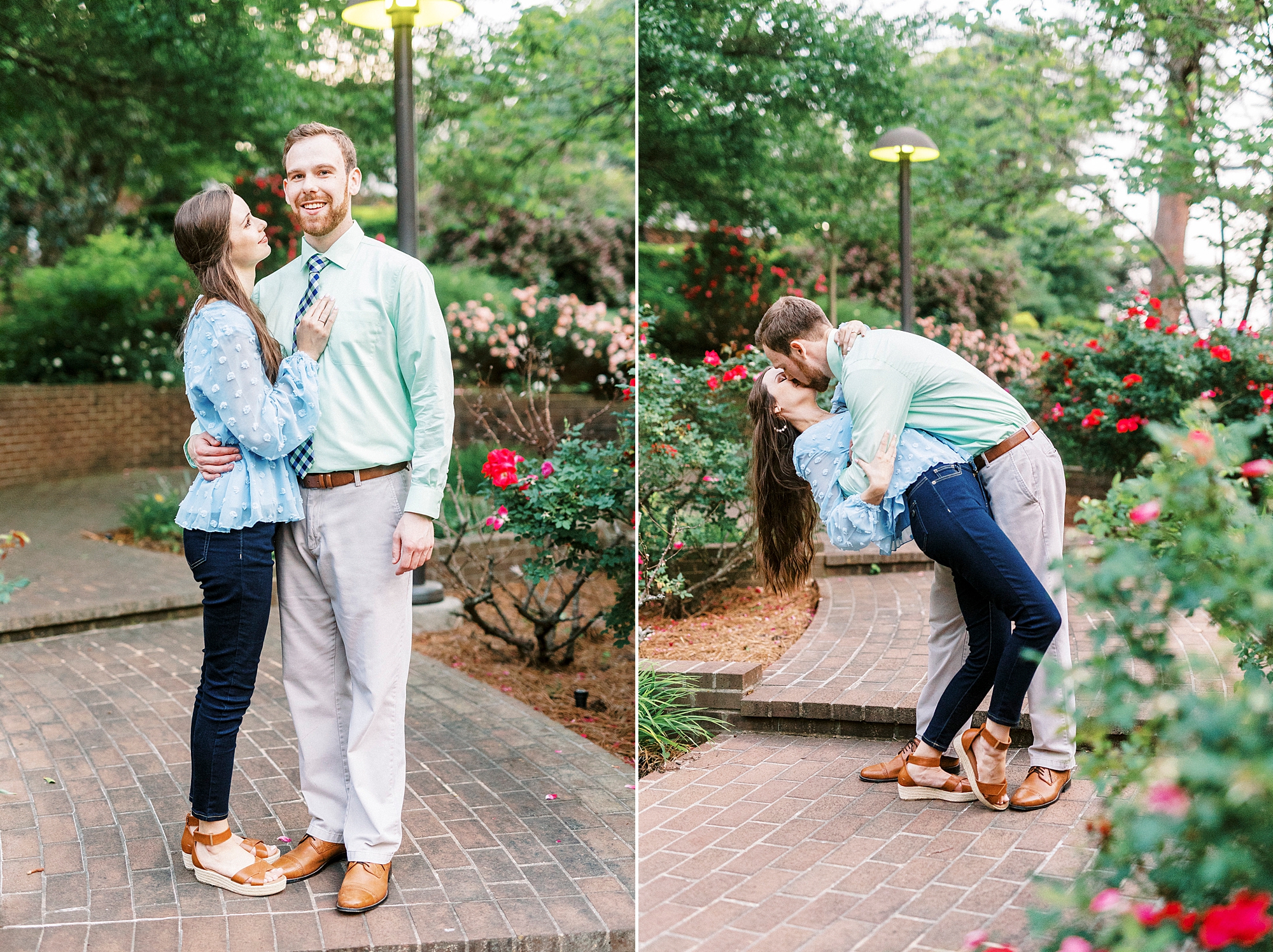 groom dips bride during photos in rose garden 