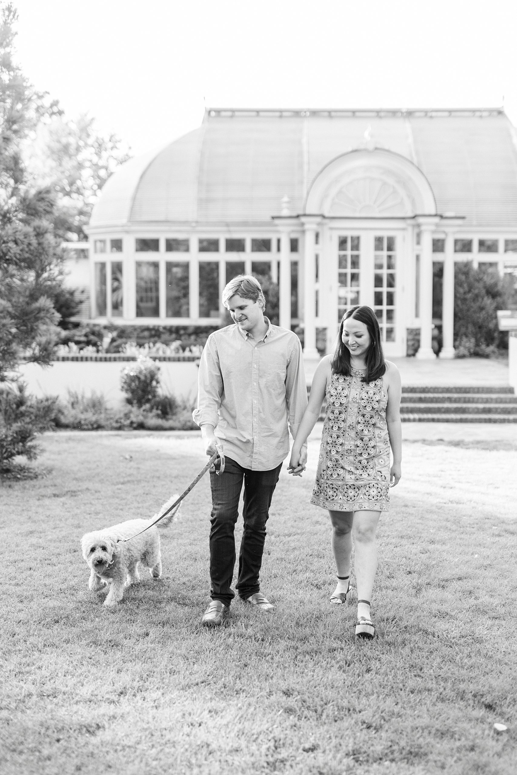 engaged couple holds hands walking with dog across lawn at Reynolda Gardens