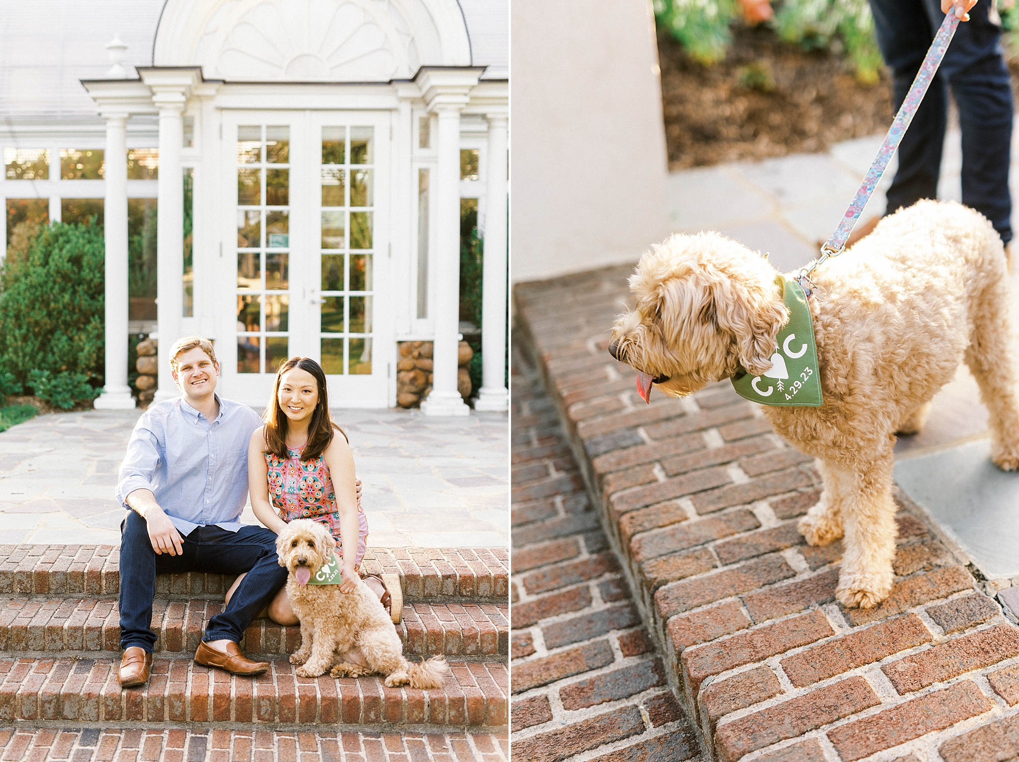 bride and groom sit with mini golden doodle at Reynolda Gardens
