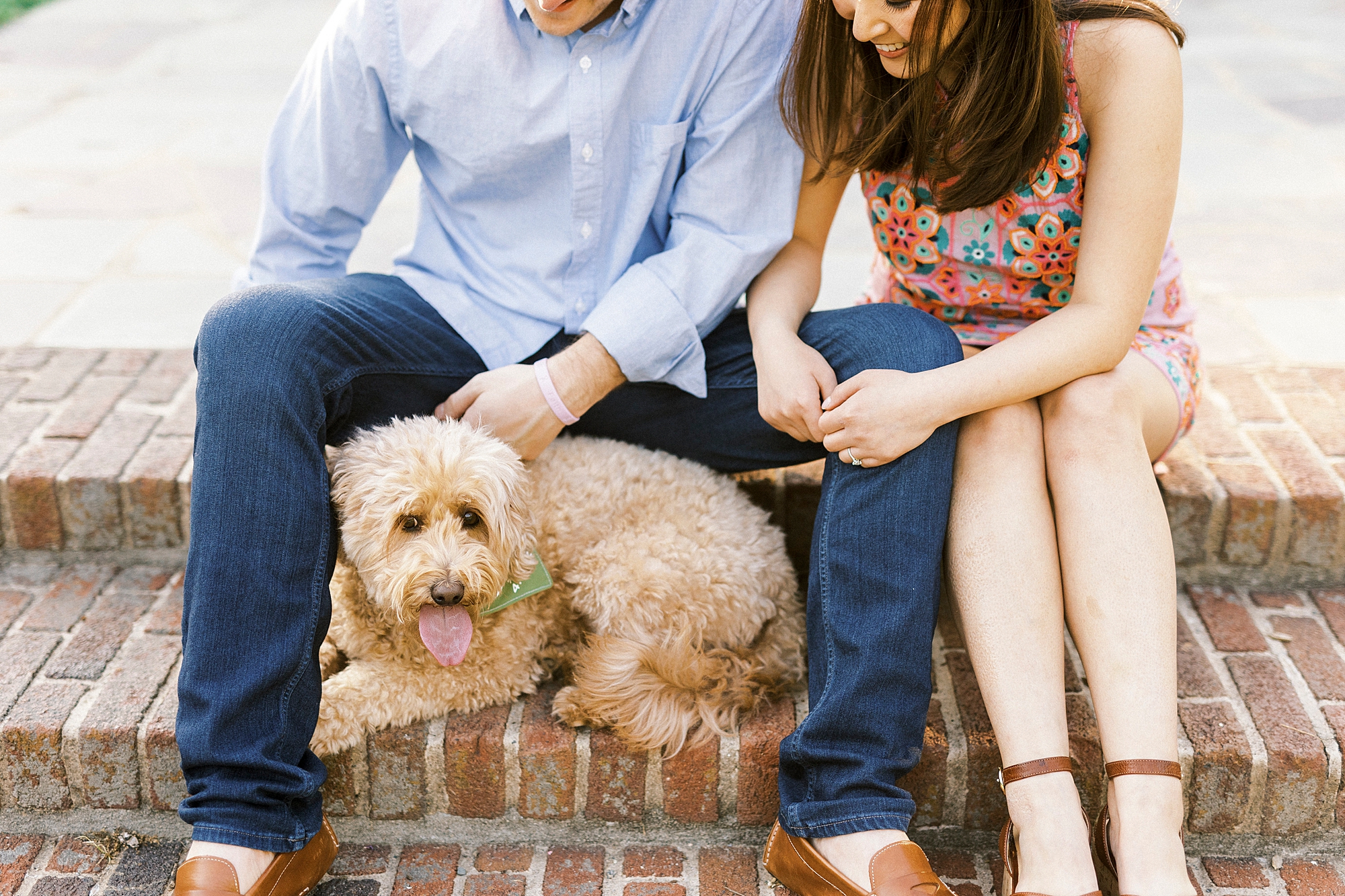 couple pets dog sitting on brick steps by their legs
