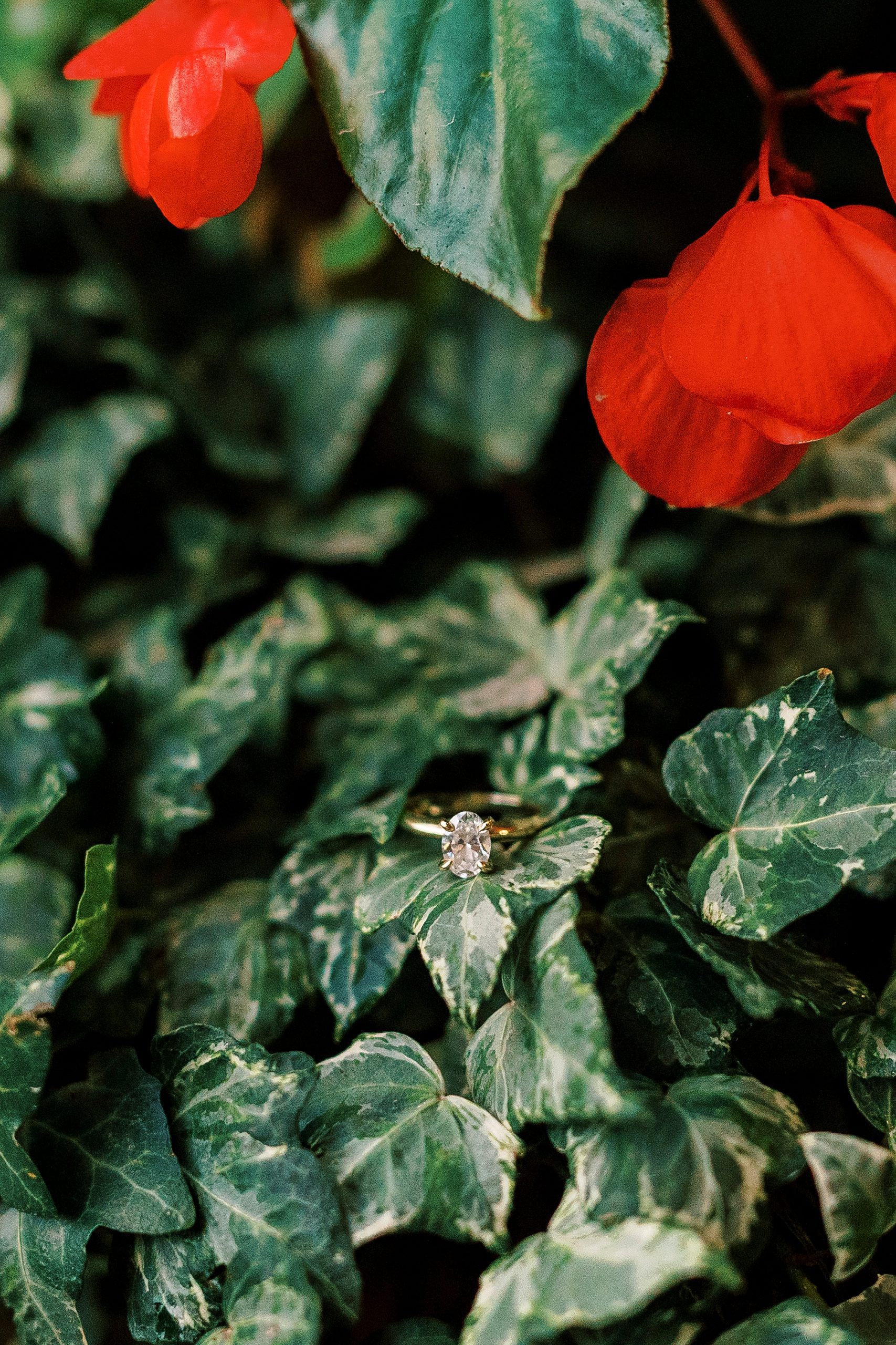 engagement ring sits on green leaves in Durham NC