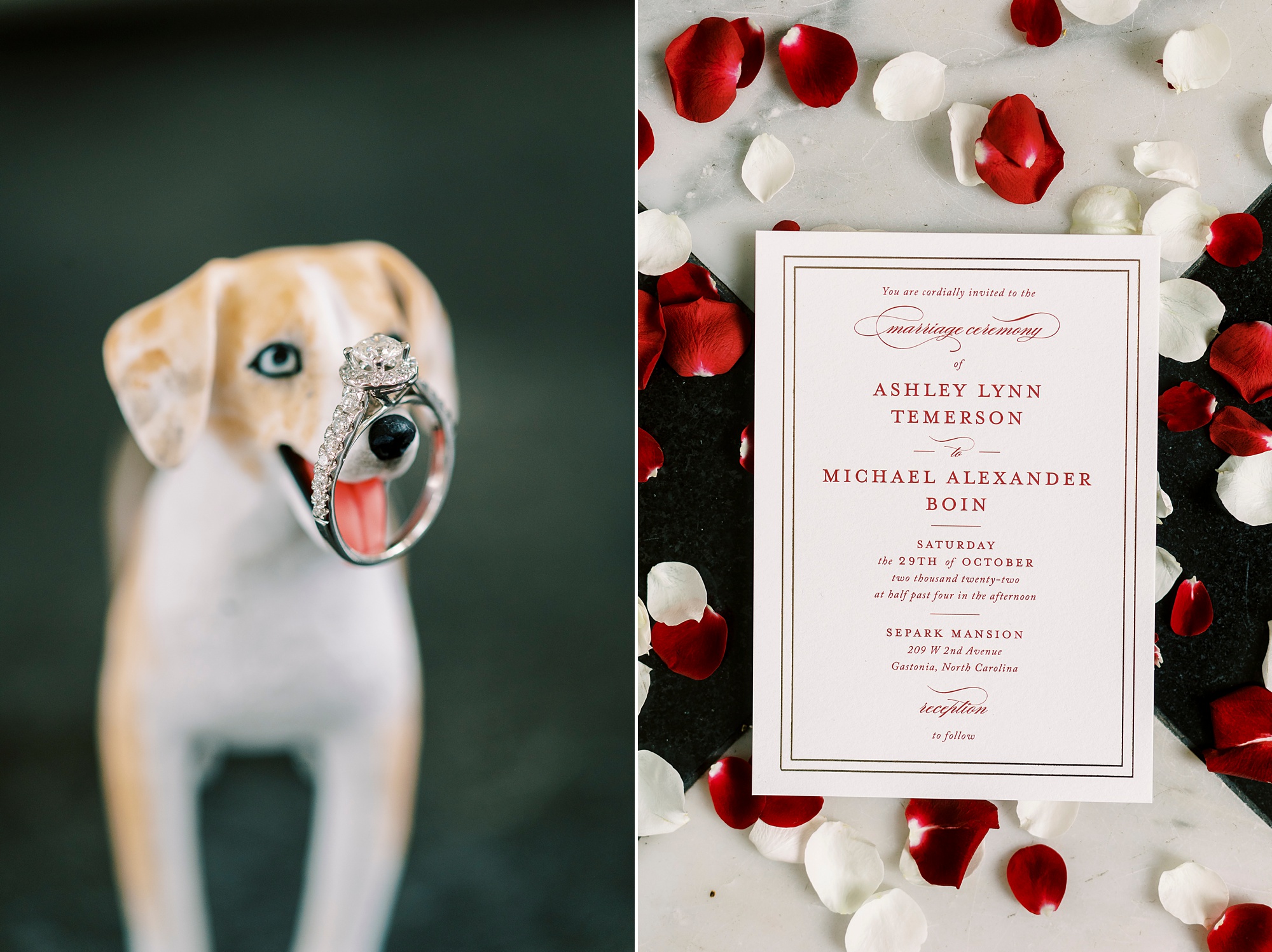 wedding ring rests on dog statue