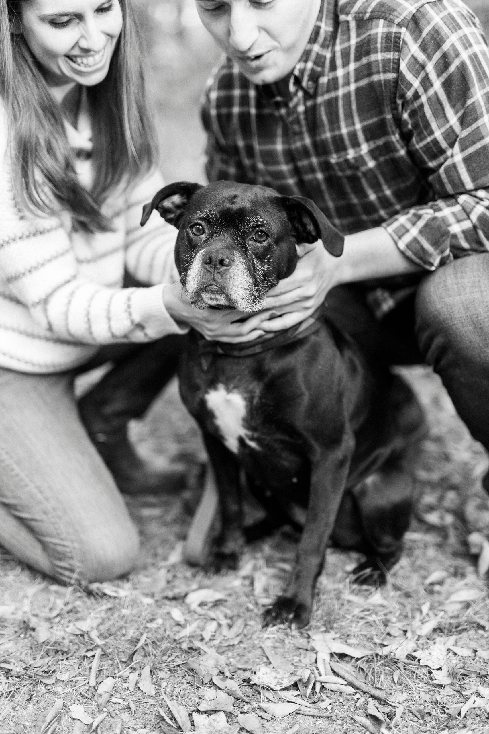bride and groom hug dog during fall photos at Latta Nature Preserve