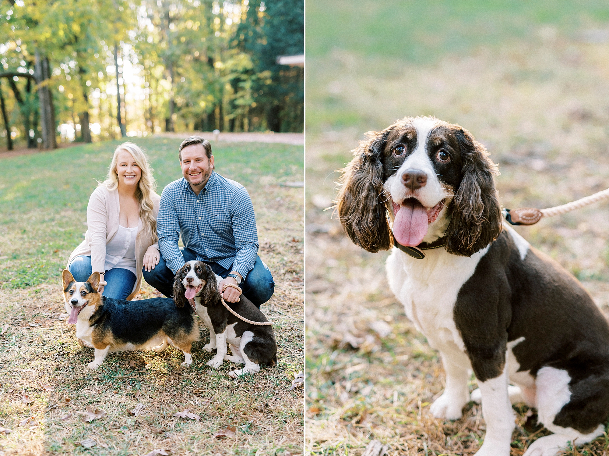 bride and groom pose with two dogs during all engagement session