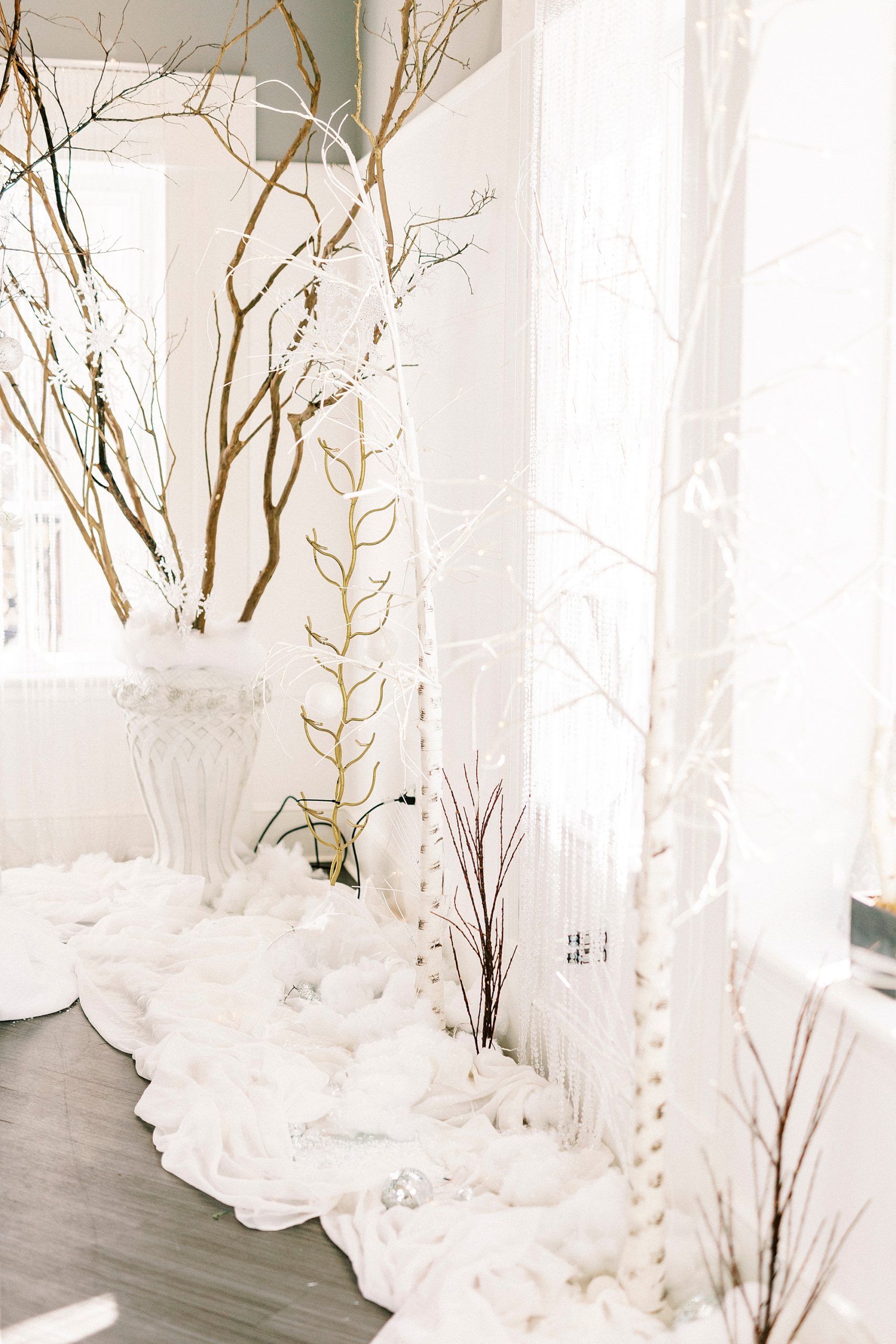 winter wonderland wedding at River Run Country Club with trees