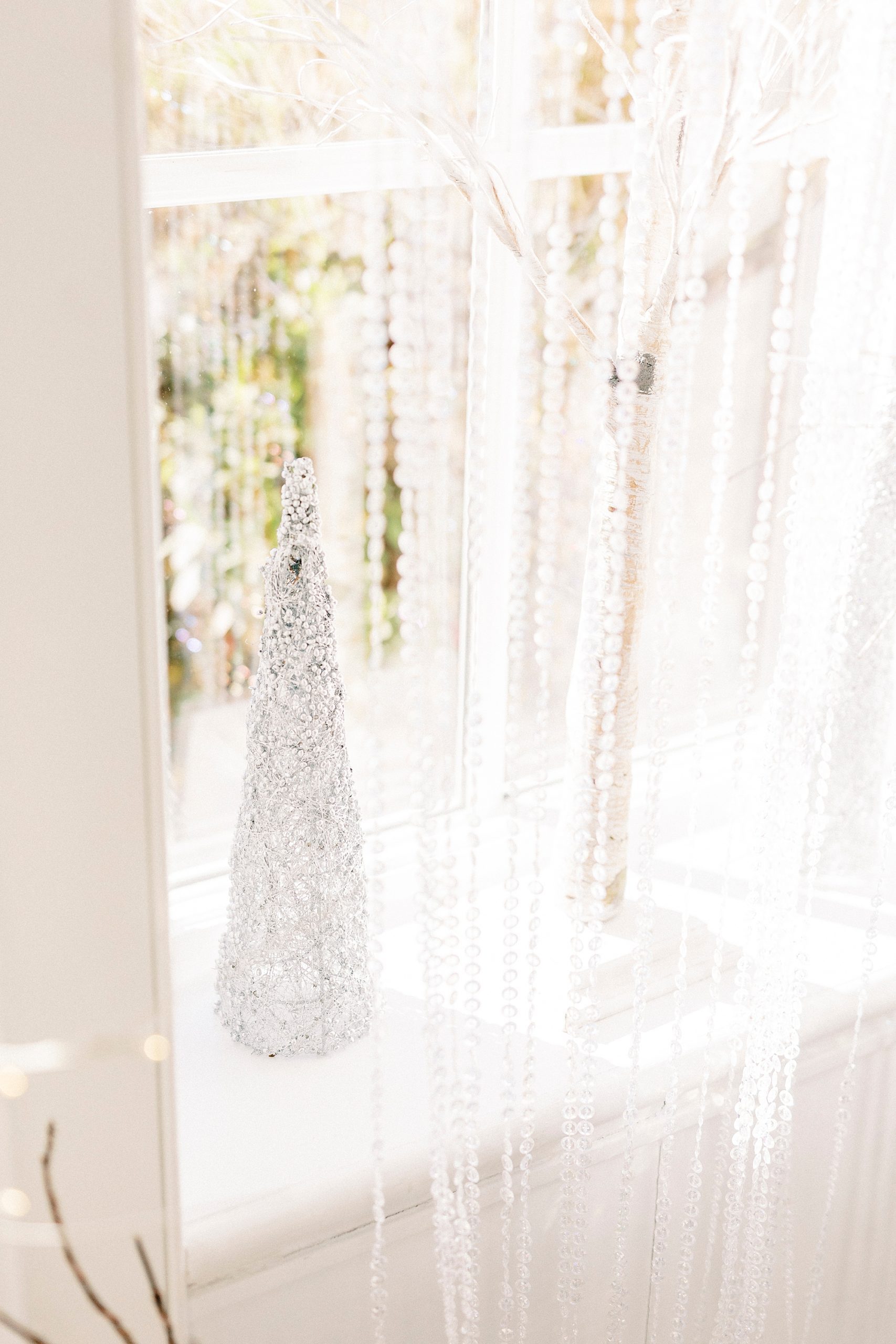 winter wonderland wedding at River Run Country Club with white trees
