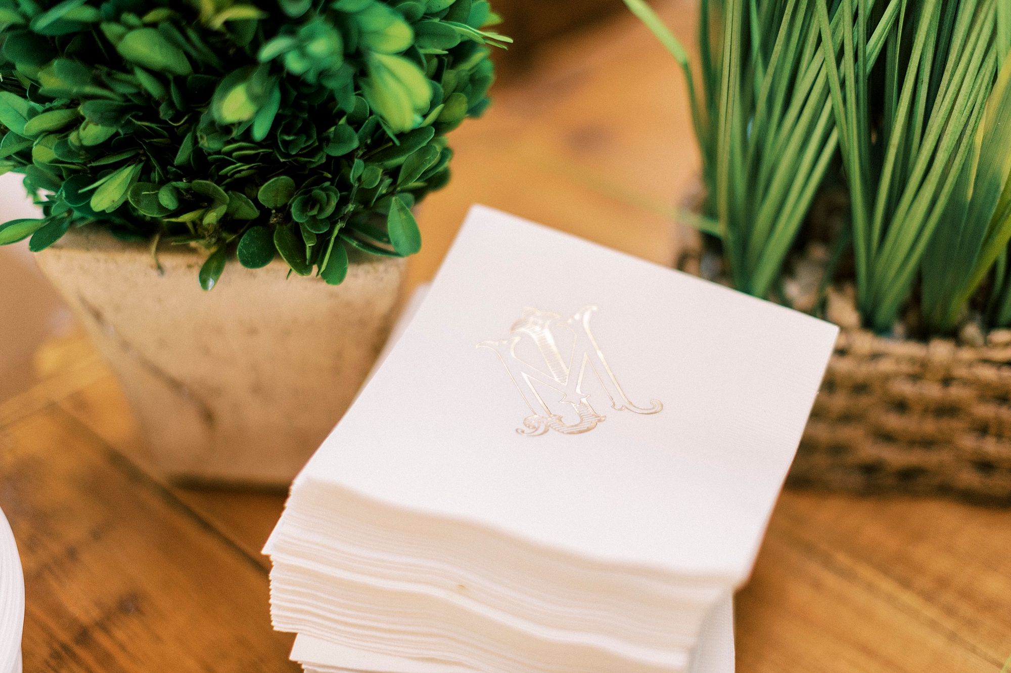 custom cocktail napkins sit by succulents 