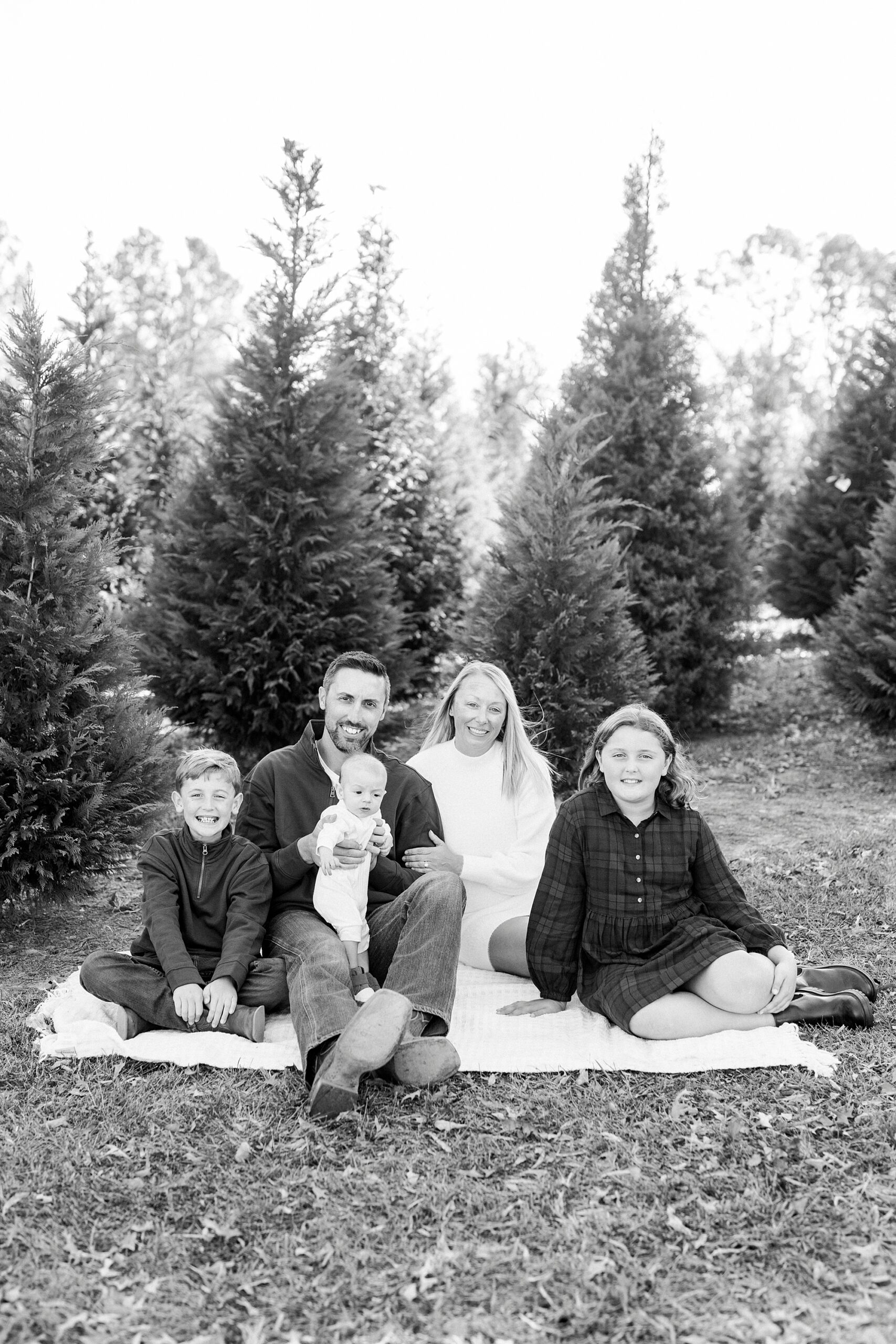family of five sits on white blanket by Christmas trees during Almond Christmas Tree Farm mini sessions