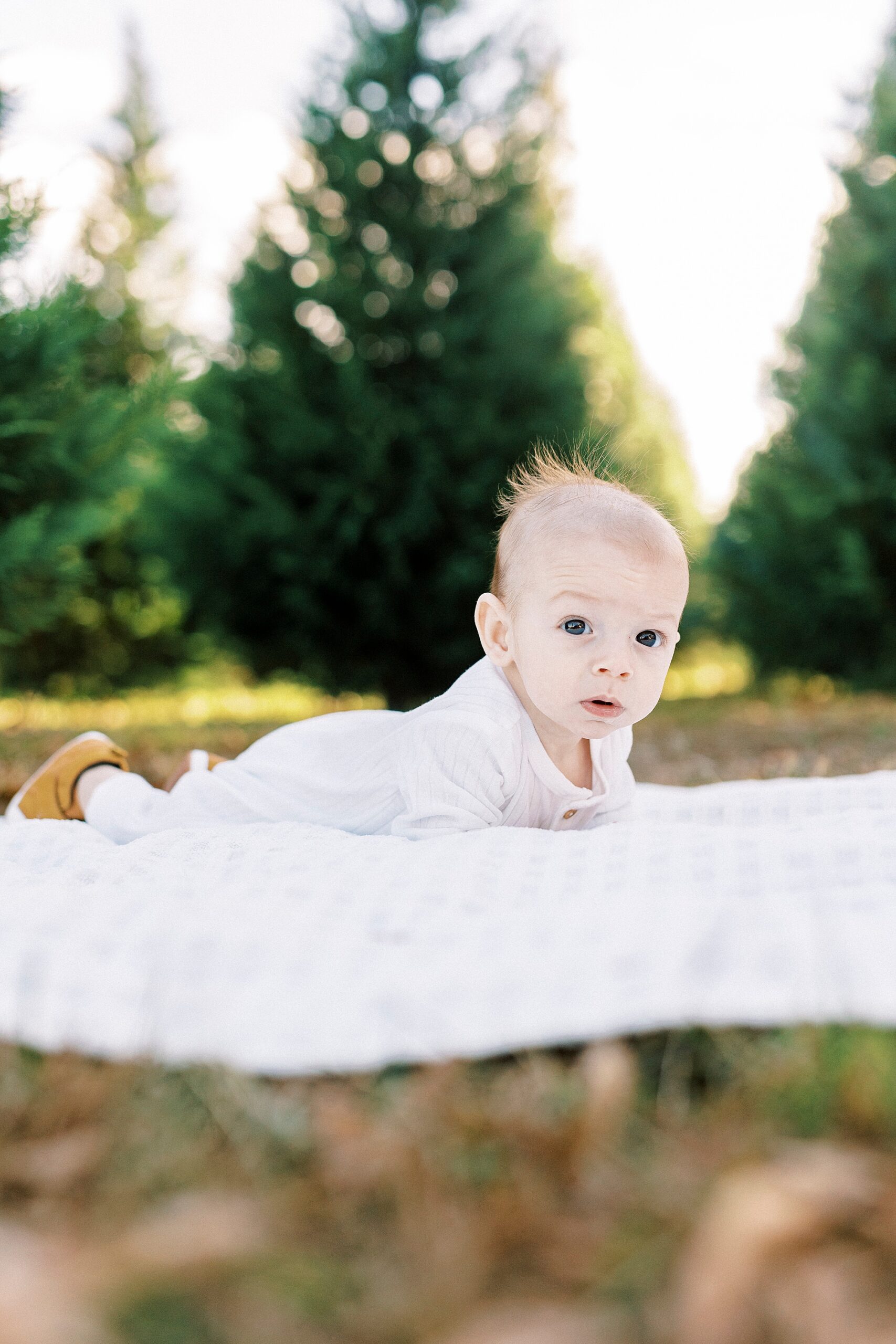 baby lays on blanket during Almond Christmas Tree Farm mini sessions