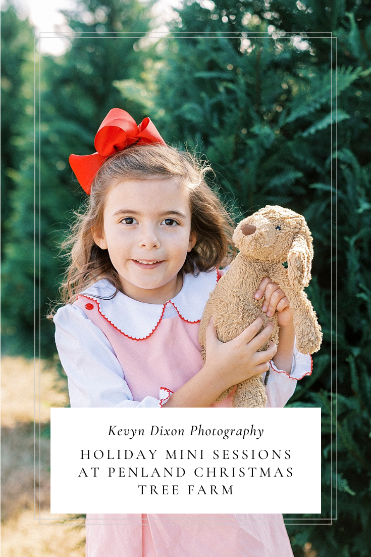 Holiday Mini Sessions at Penland Christmas Tree Farm with North Carolina family photographer Kevyn Dixon Photography