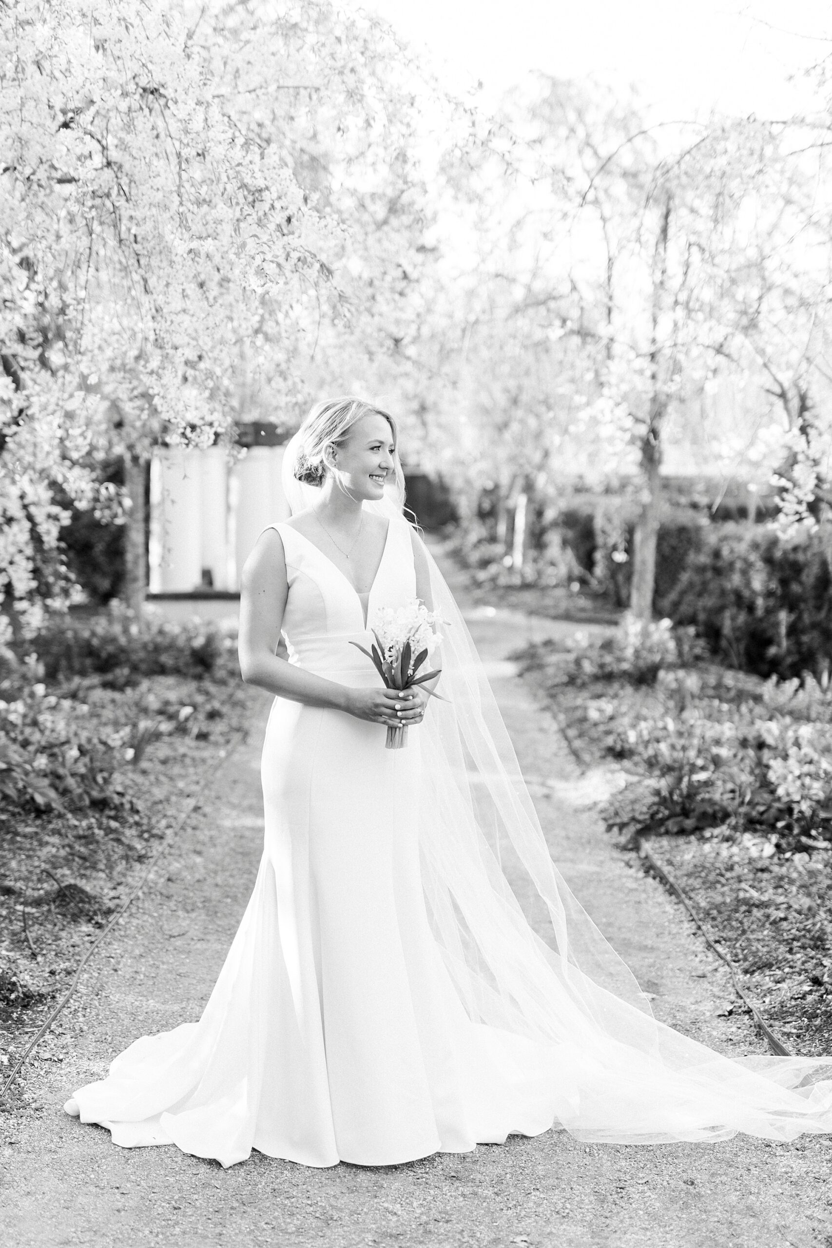 bride poses on walkway with veil floating behind her inside Reynolda Gardens