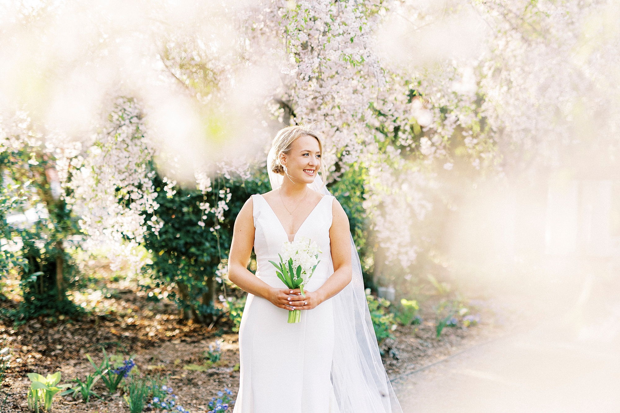 white blossoms in forefront of photo of bride holding bouquet of white hyacinths