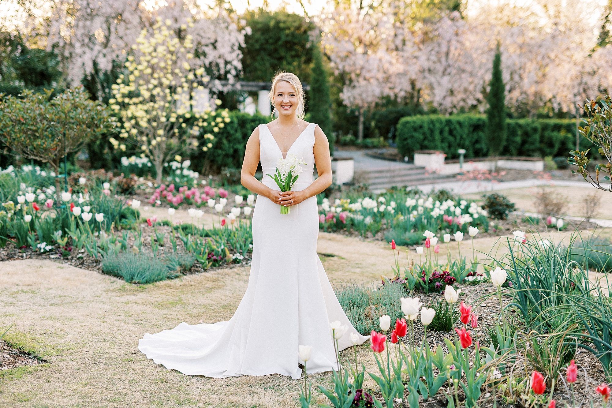 bride holds bouquet of white hyacinths in rows of tulips