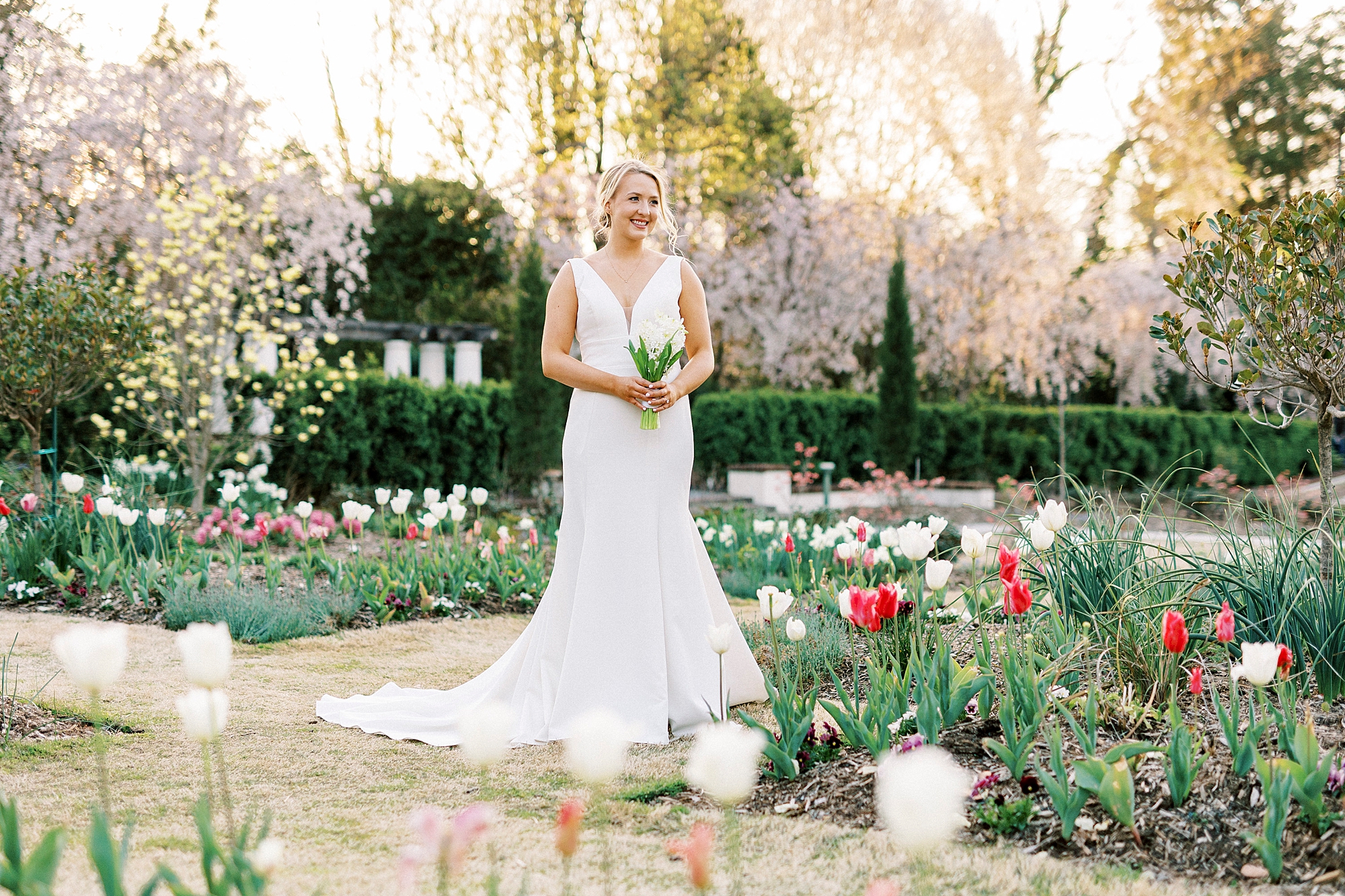 bride stands among tulip beds during Reynolda Gardens bridal session