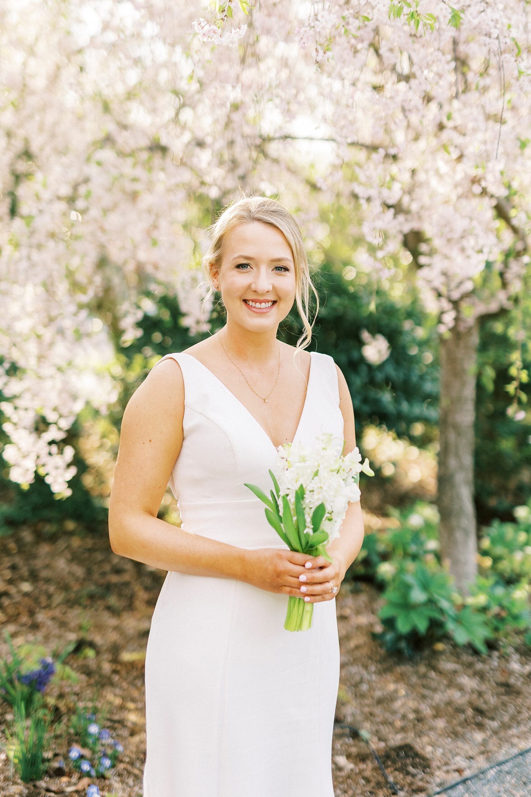 bride poses between pink petals under tree at Reynolda Gardens