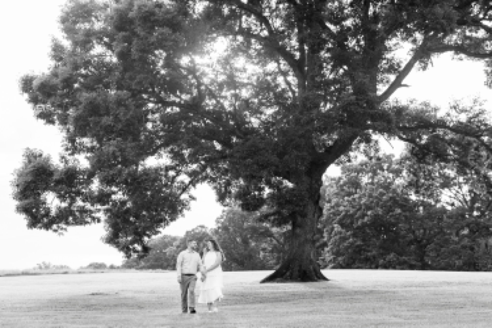 woman holds man's hand standing under oak tree at Summerfield Farms