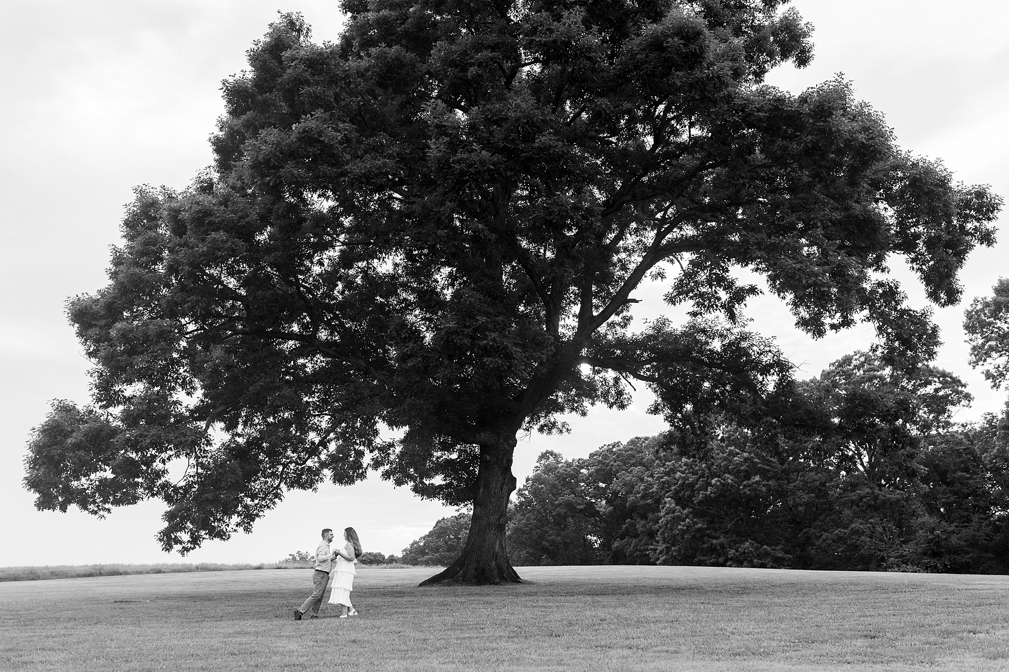 engaged couple hugs under oak tree at Summerfield Farms