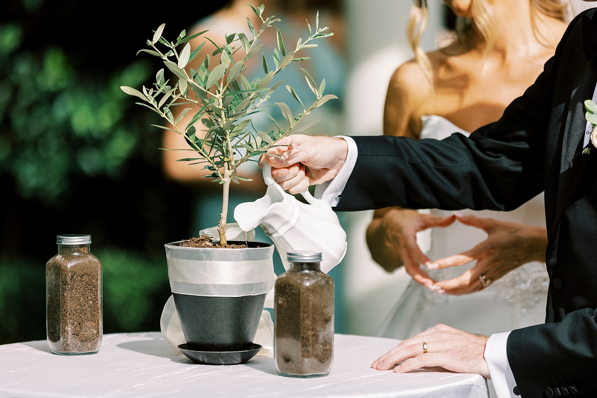 bride and groom plant tree during wedding ceremony in gardens of Separk Mansion