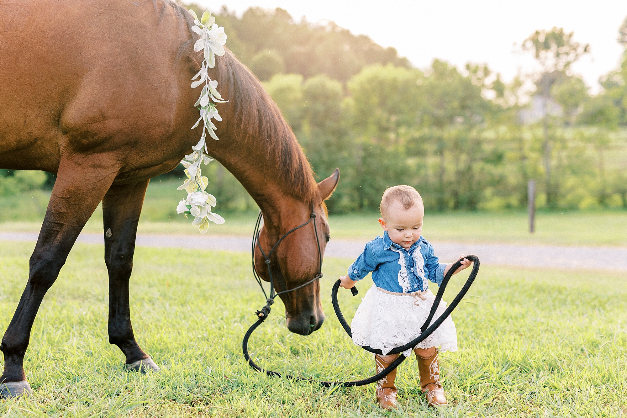 one year old holds reins of horse in grassy field during first birthday portraits in Albemarle NC