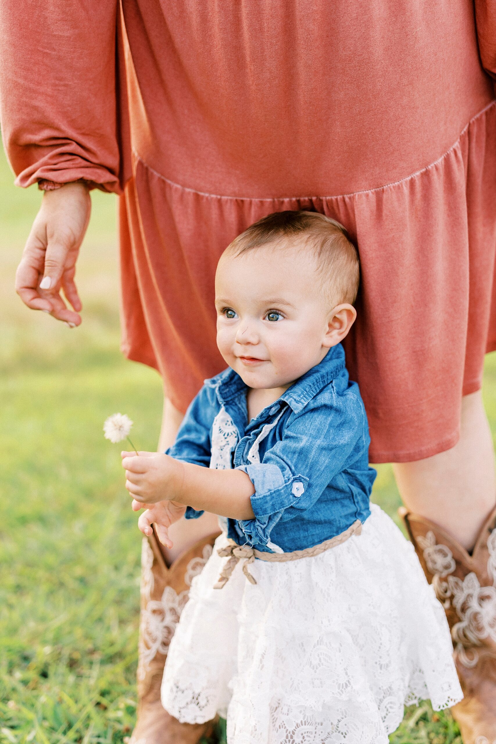 one year old holds dandelion during family photos on farm