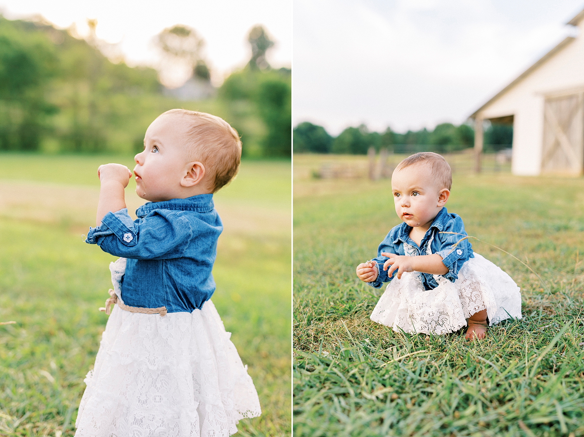 Toddler girl in white dress with jean jacket kneels in grass of family farm