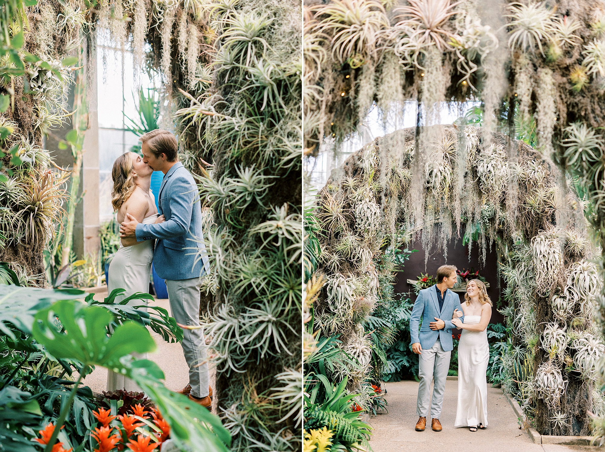 engaged couple kisses under tree with Spanish moss inside Daniel Stowe Botanical Garden